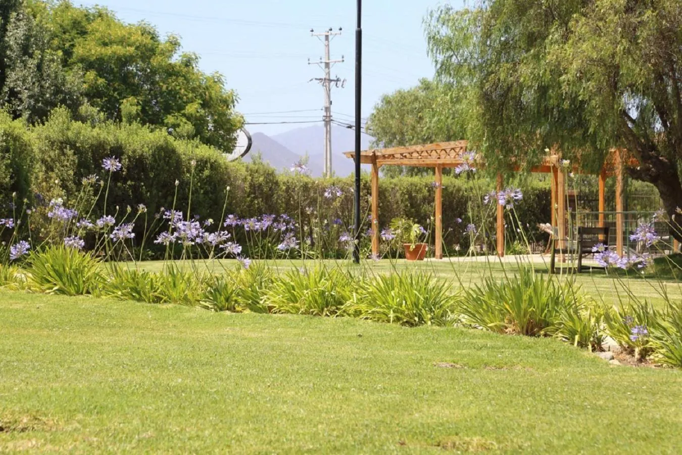 Activities in Hotel Altos de Tuqui