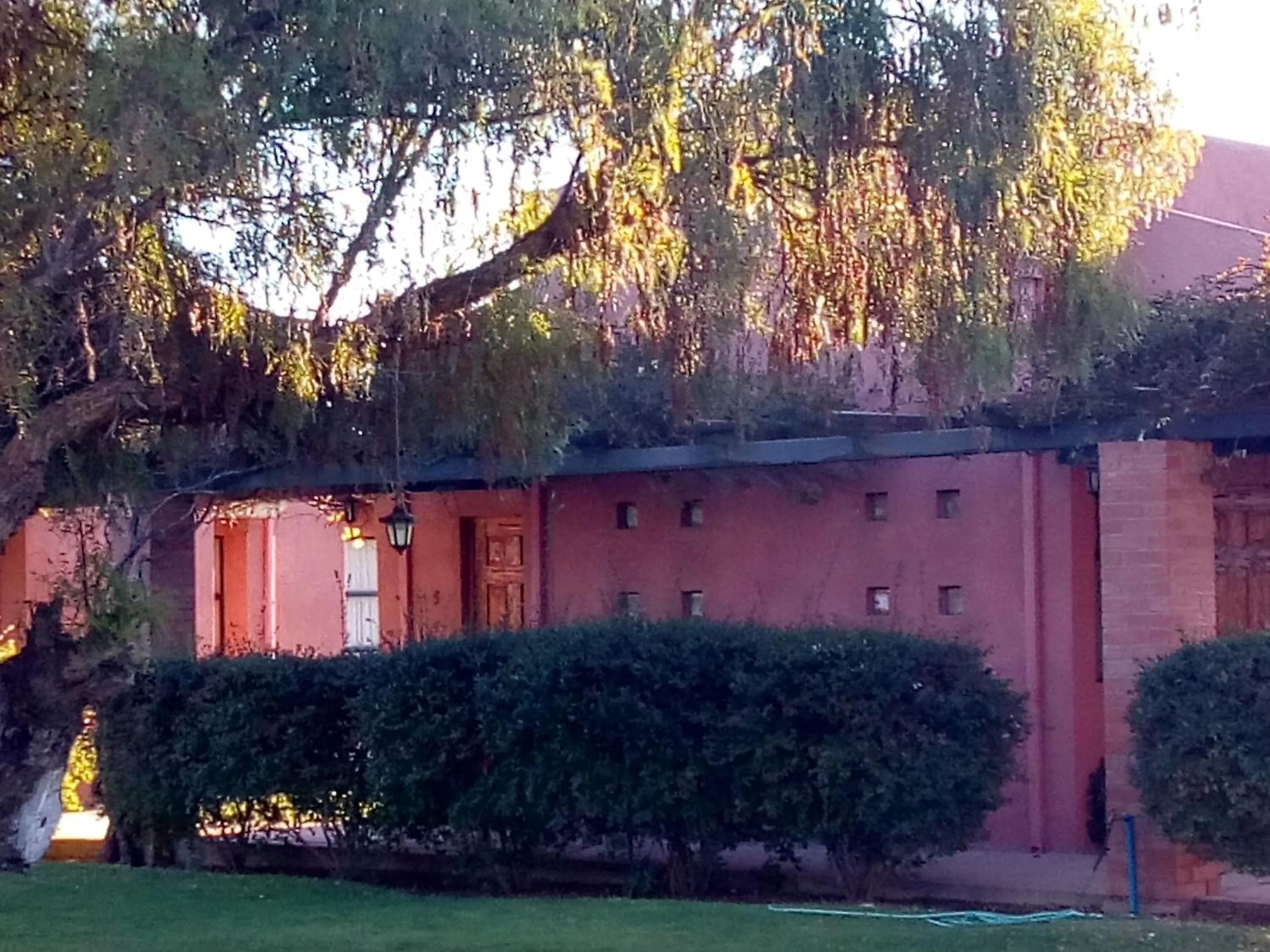Garden in Hotel Altos de Tuqui