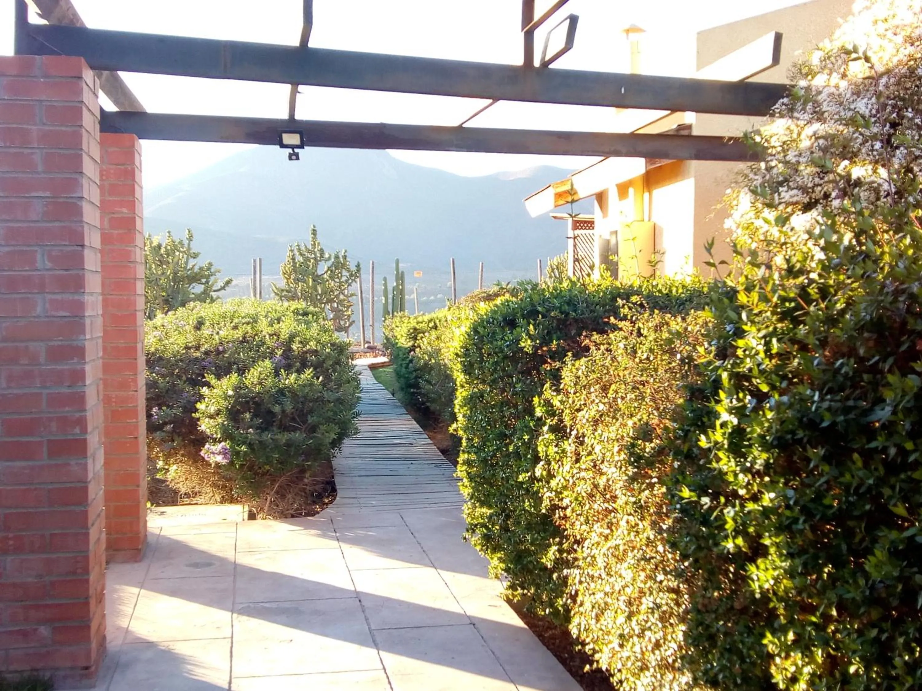 Garden in Hotel Altos de Tuqui