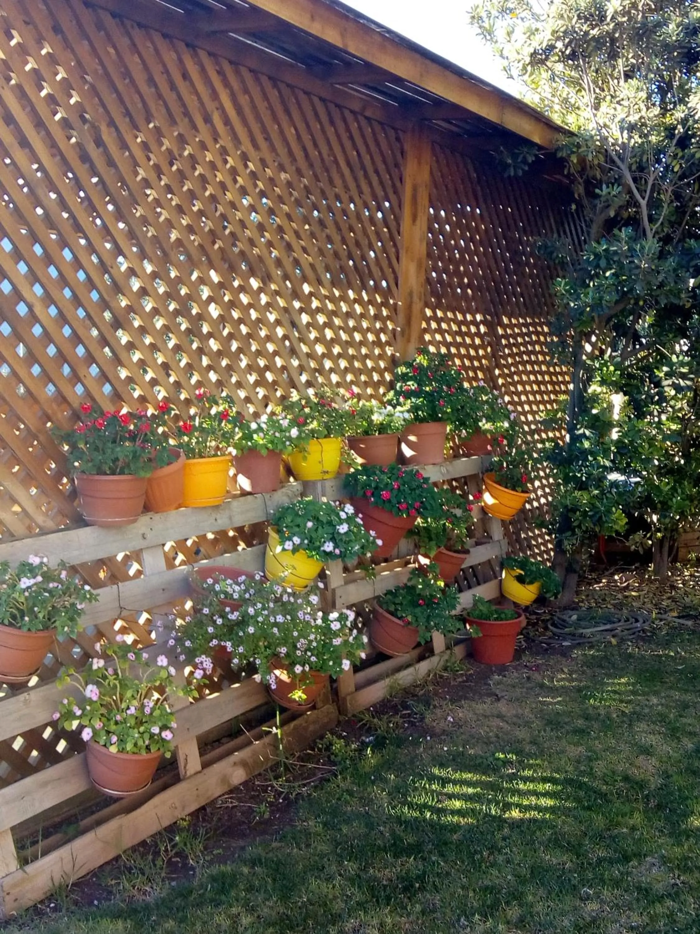 Garden in Hotel Altos de Tuqui
