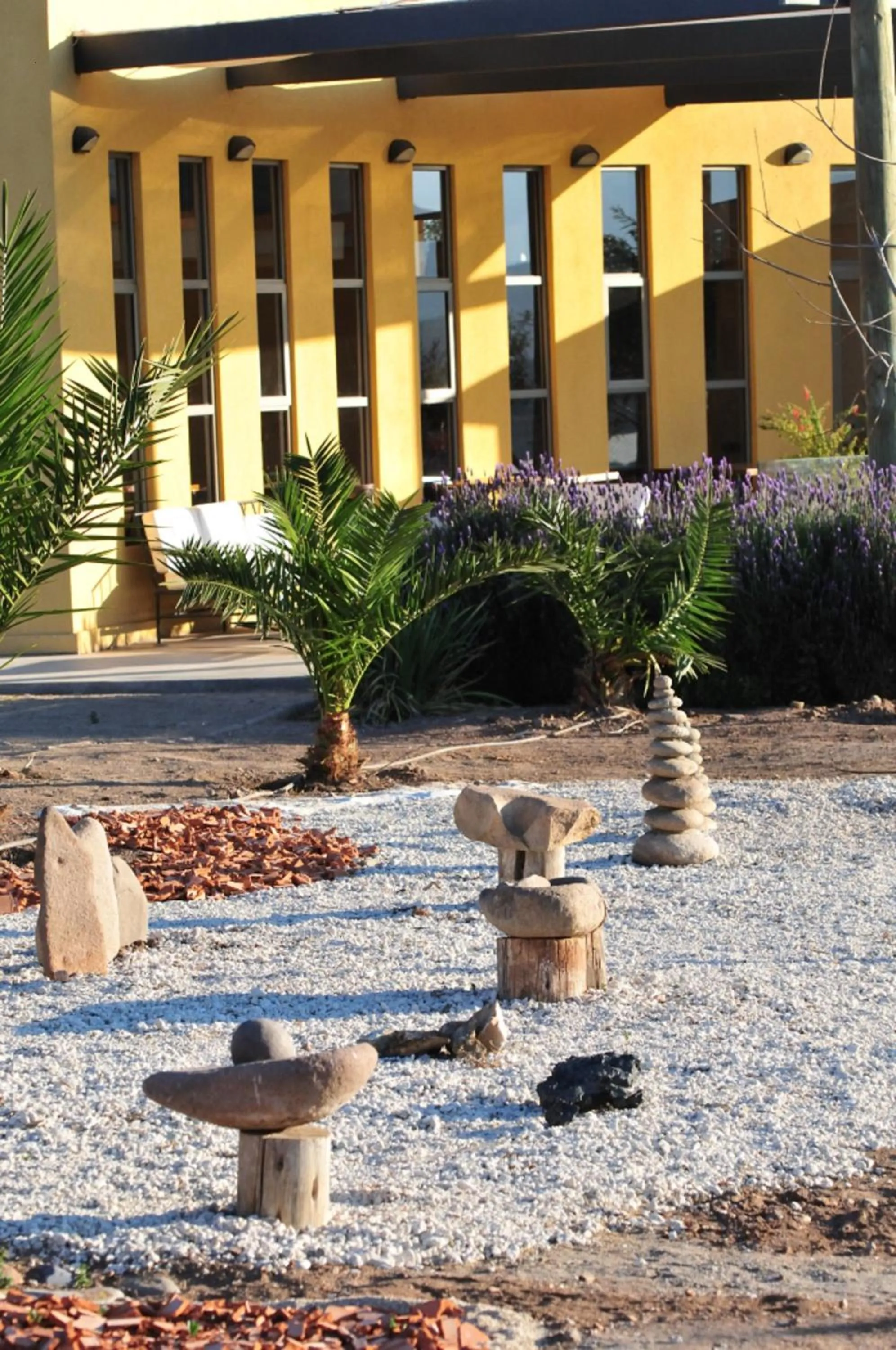 Area and facilities in Hotel Altos de Tuqui
