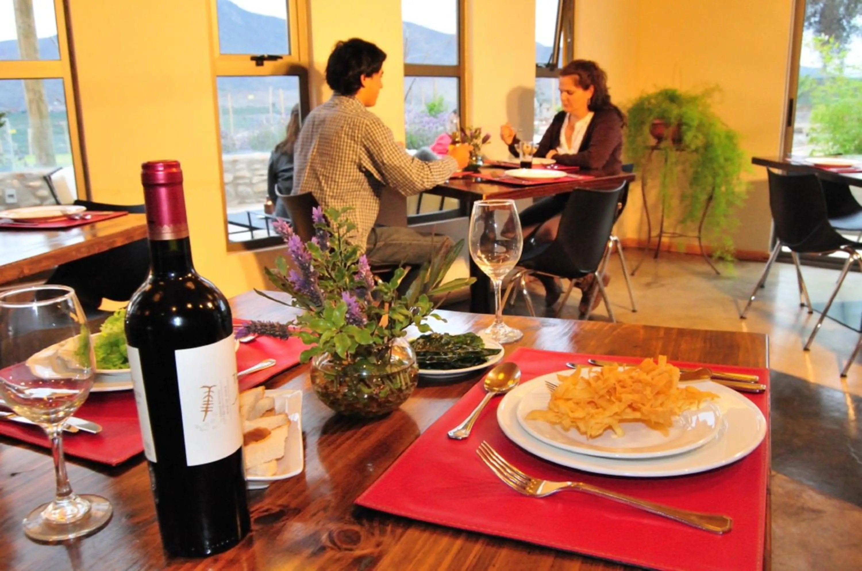 Restaurant/places to eat in Hotel Altos de Tuqui