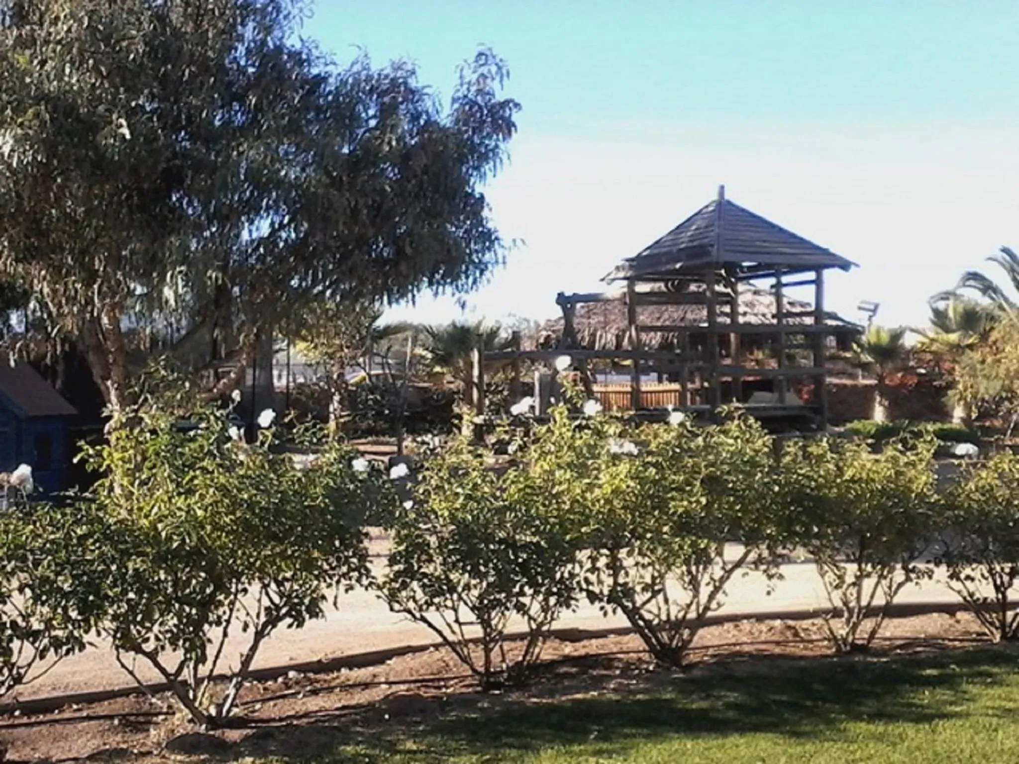 Off site in Hotel Altos de Tuqui