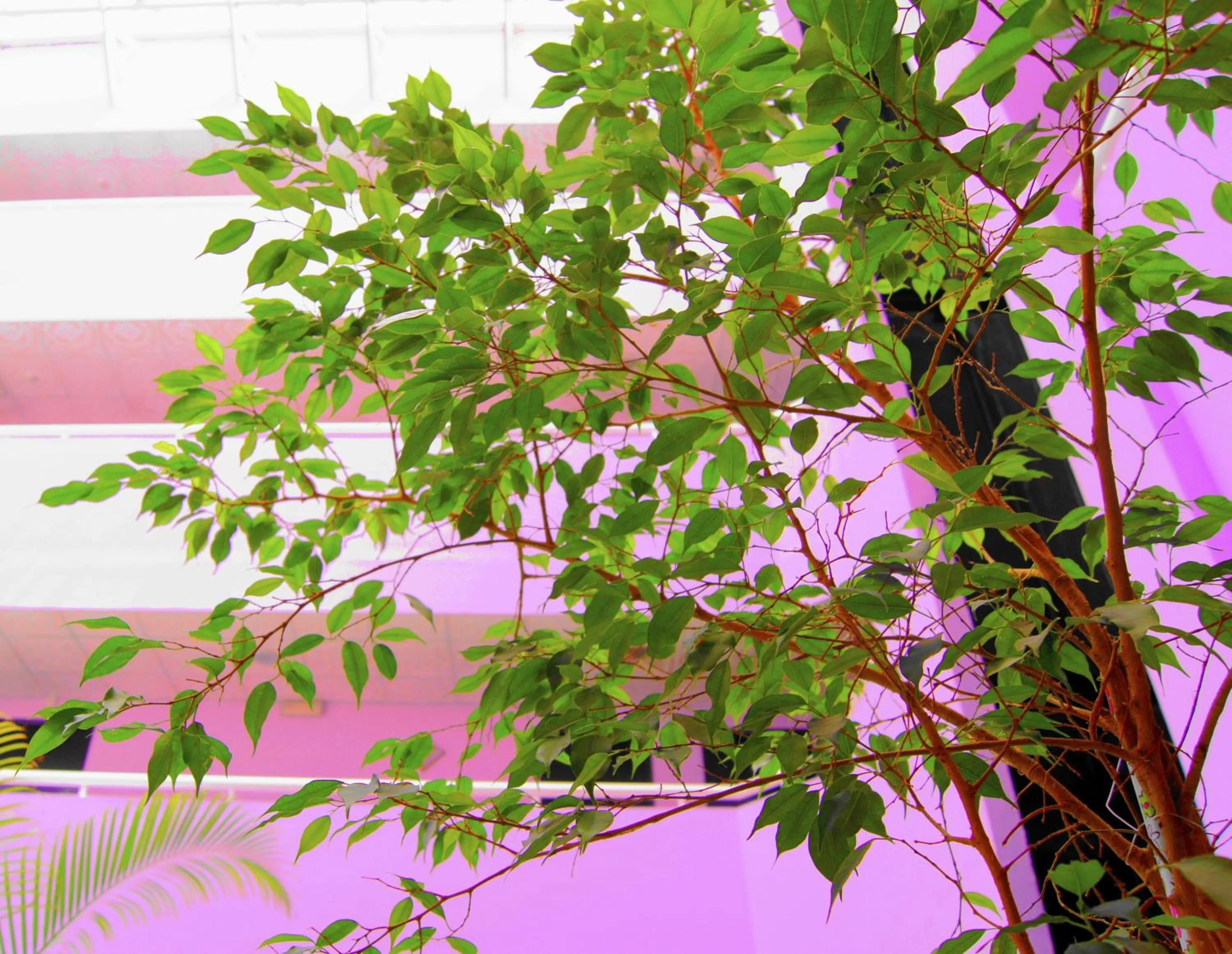 Other in Regal Peninsula Hotel Formerly New Peninsula Hotel Ghubaiba Bus Station Bur Dubai