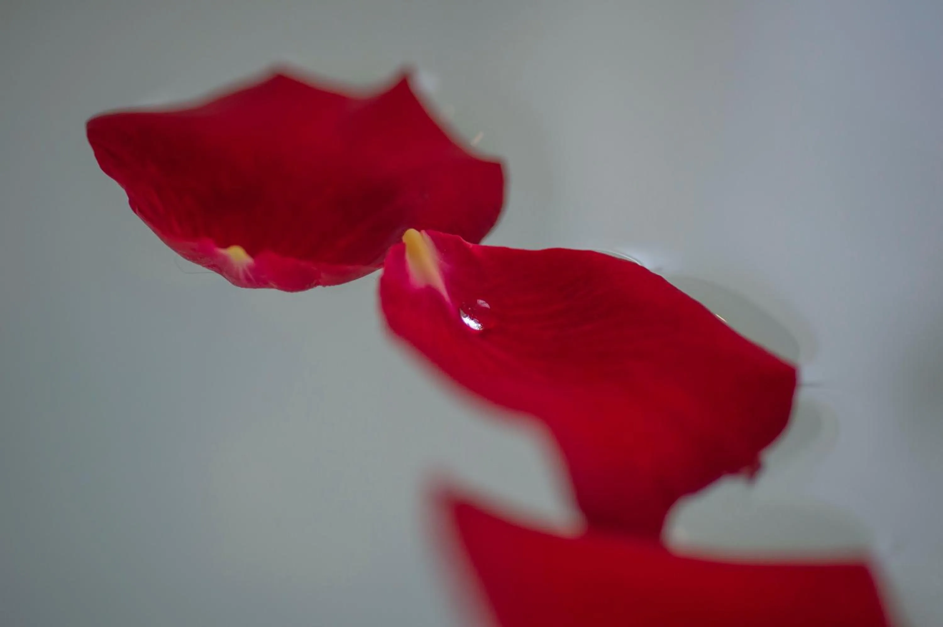 Decorative detail in SSAW Boutique Hotel Hefei Intime Centre