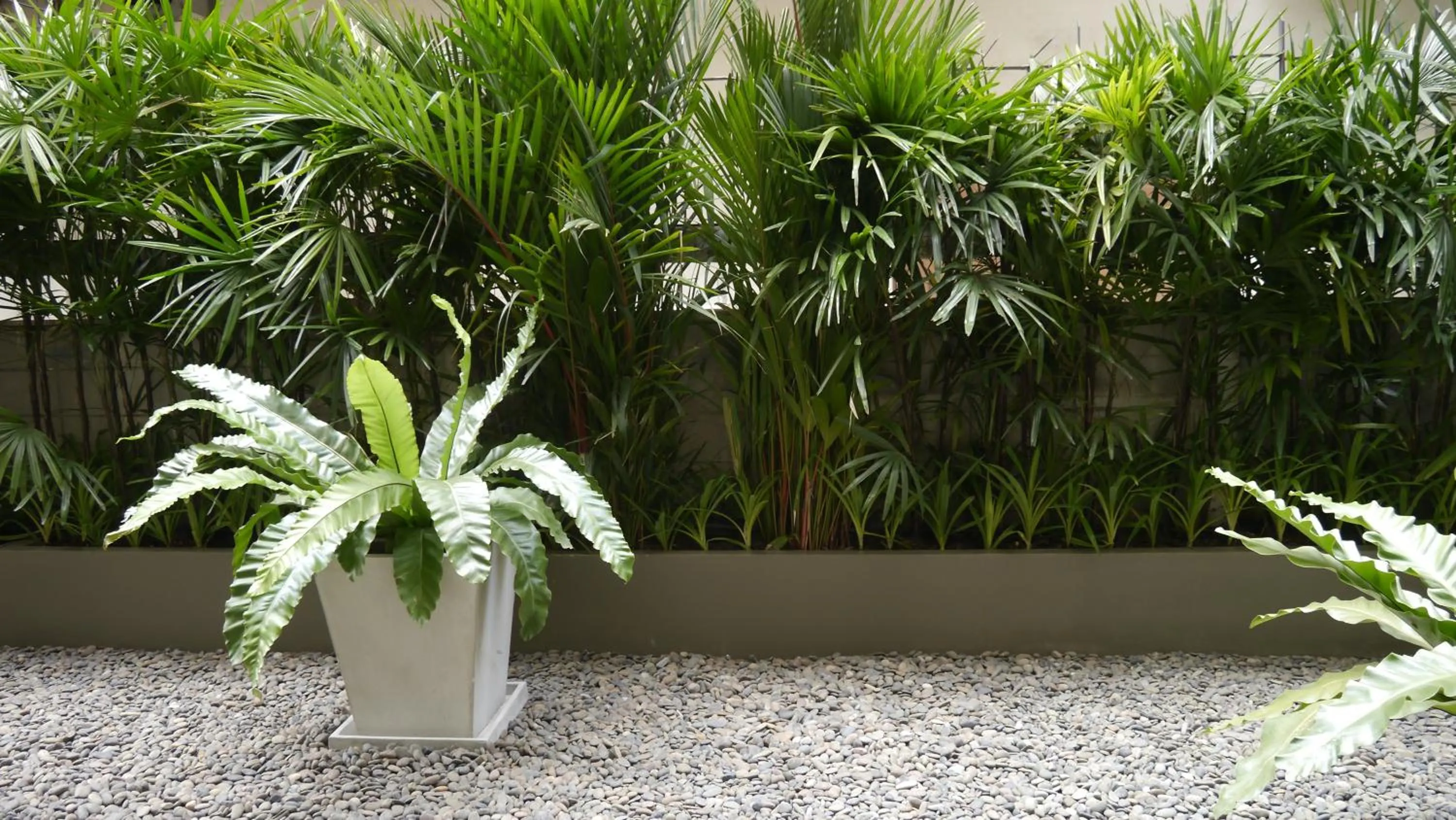 Other in CHERN Bangkok