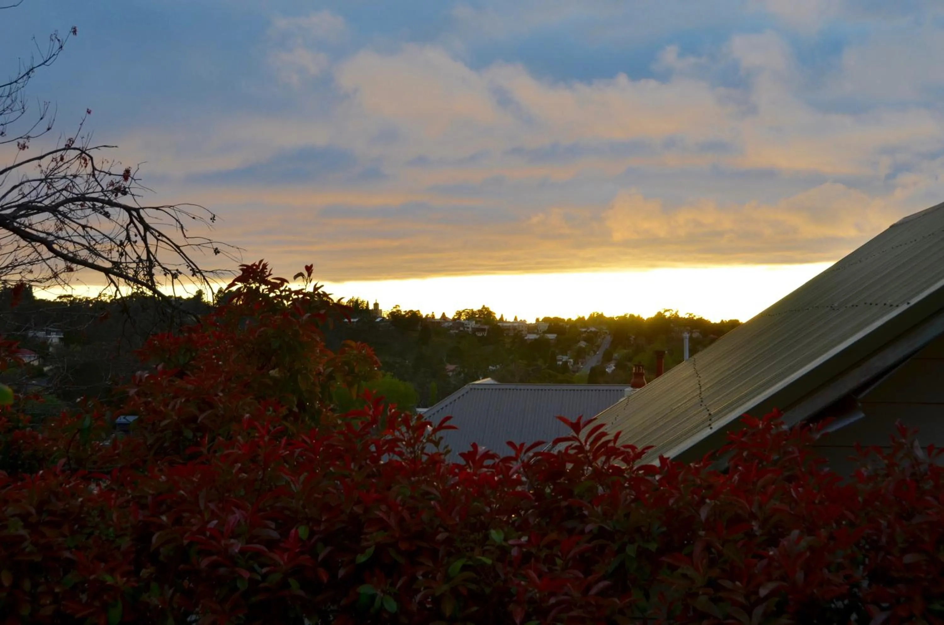 Patio in No14 Lovel St