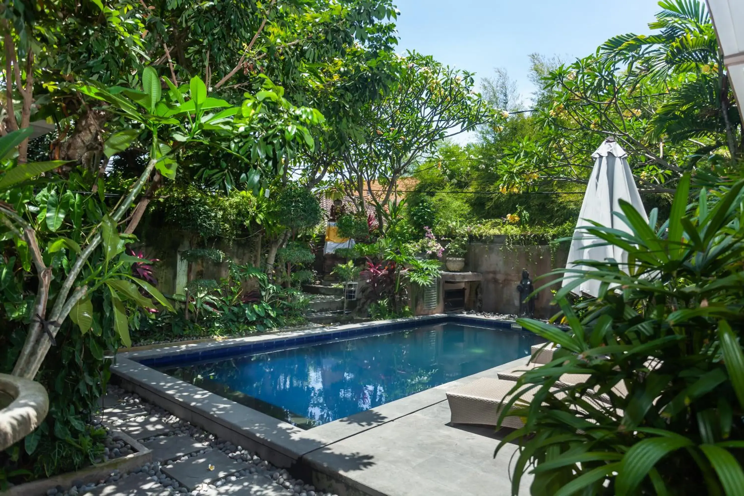 Garden view in Anindya Sanur Garden view in Anindya Sanur