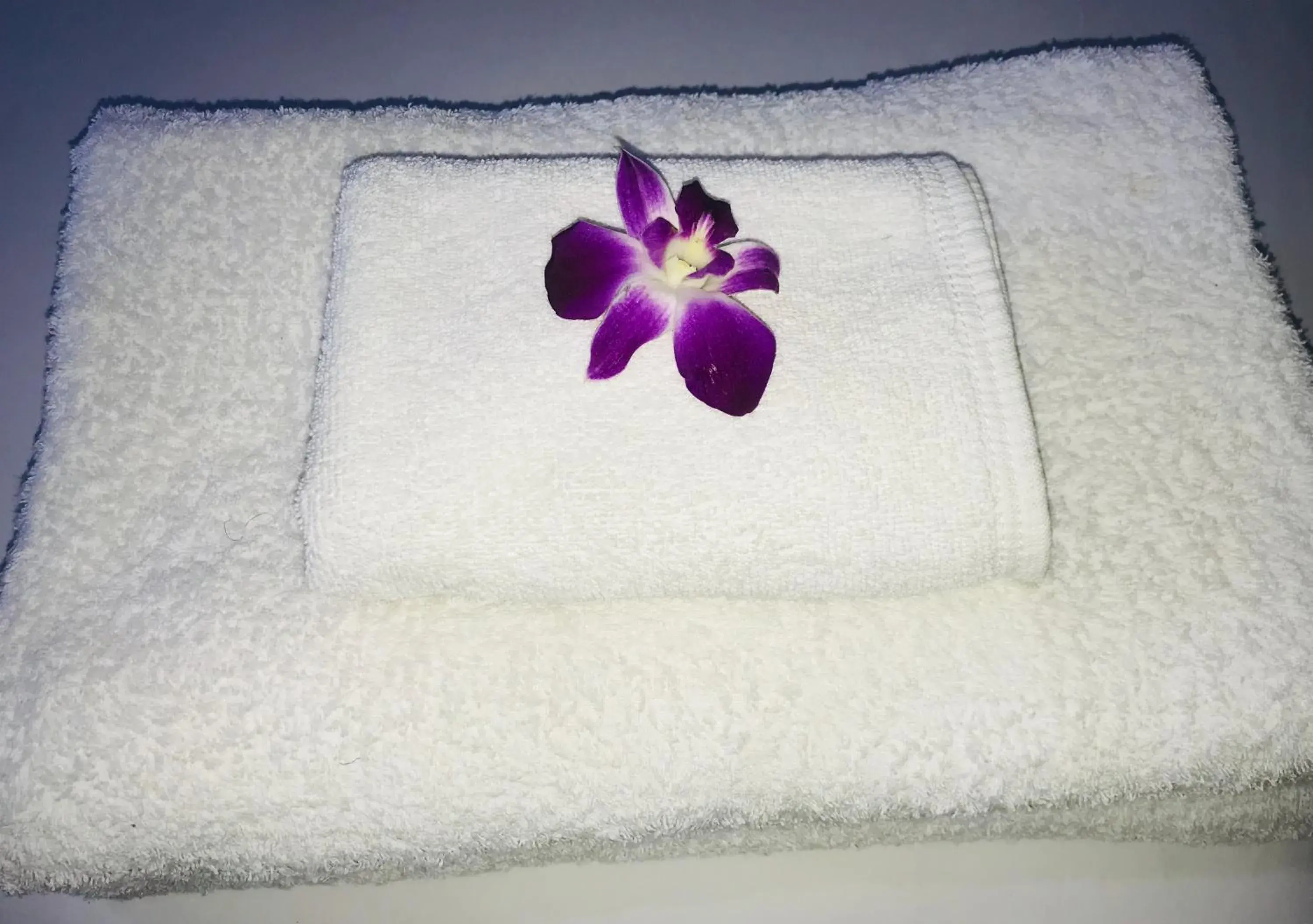 HARRYS RESIENDENCE HARRYS RESIENDENCE