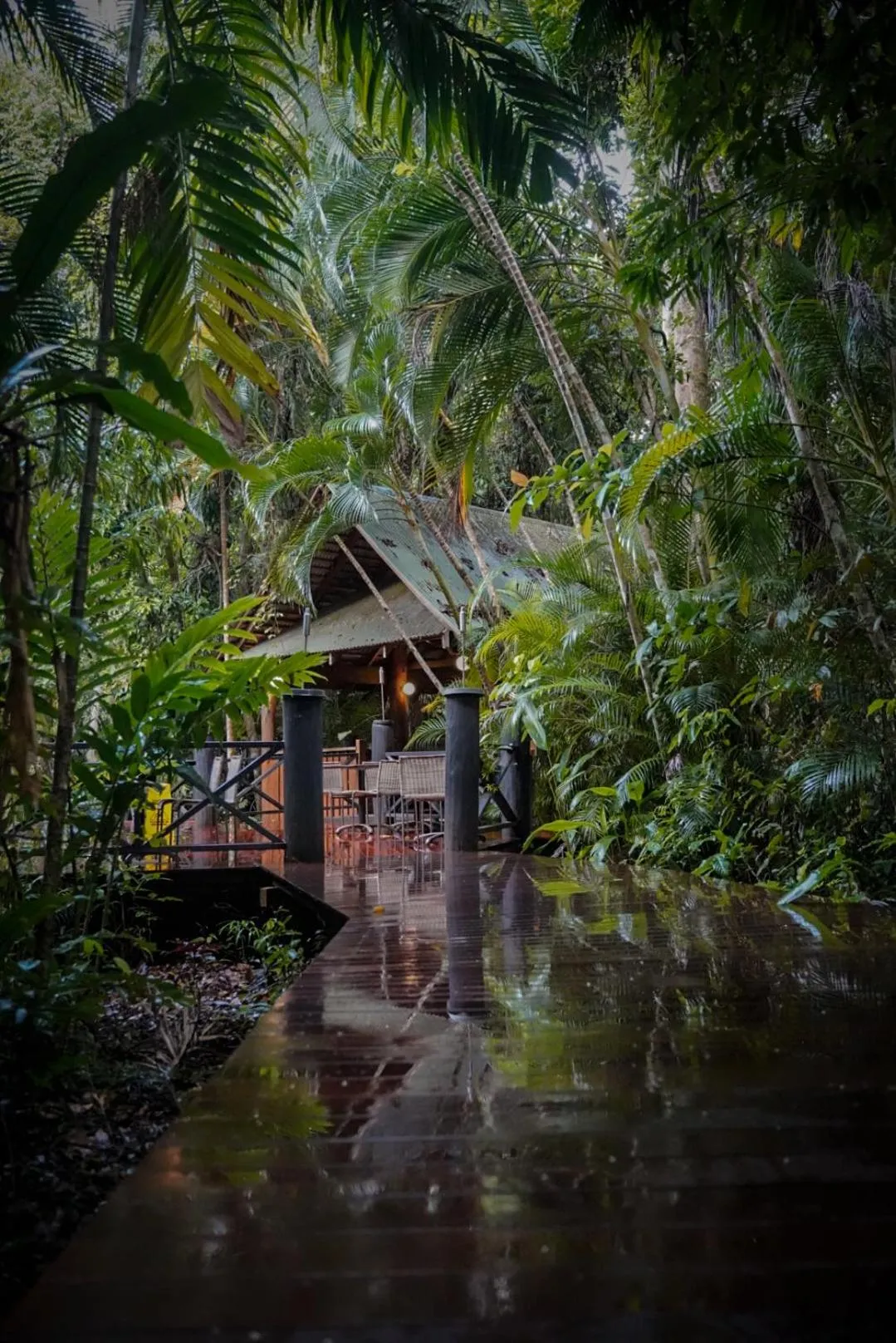 Ferntree Rainforest Lodge