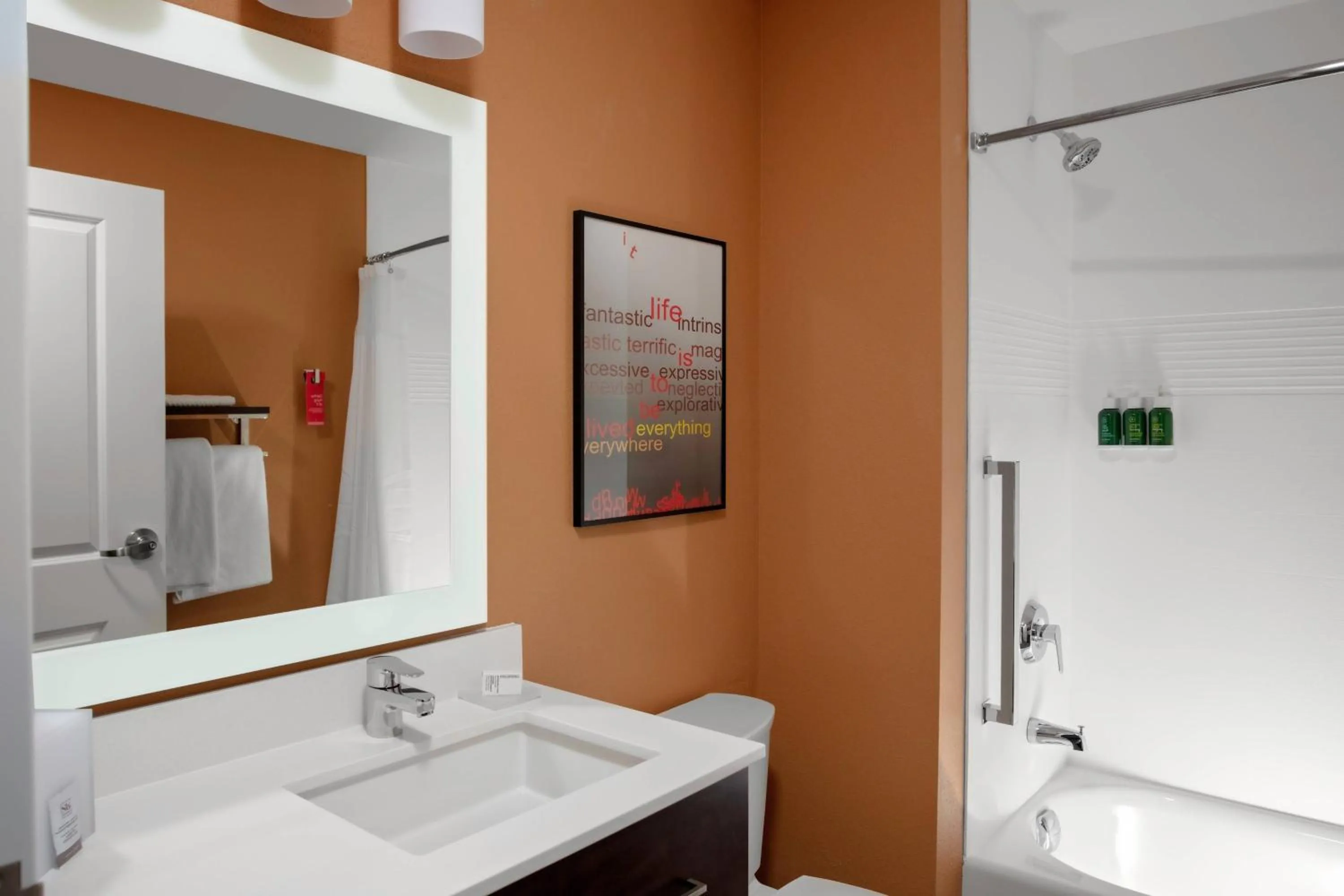 Bathroom in TownePlace Suites by Marriott Gainesville