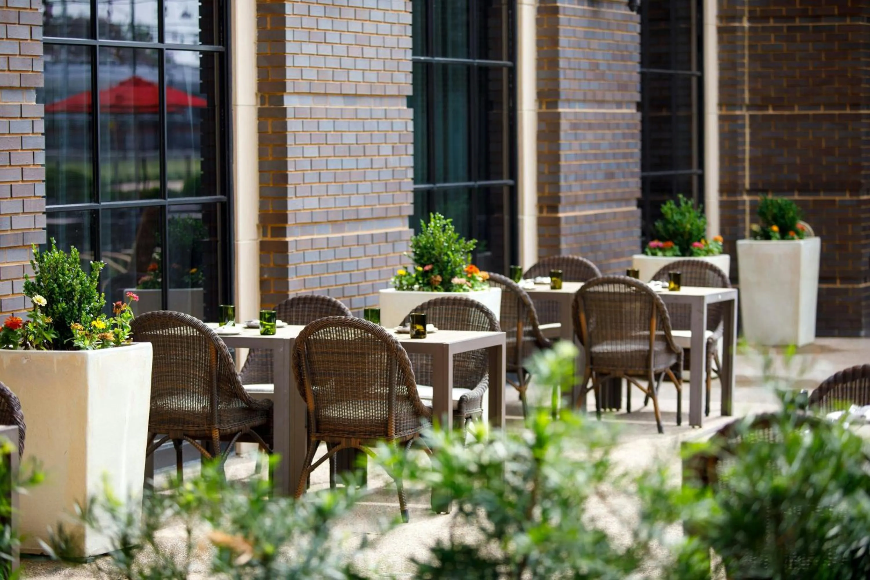 Restaurant/places to eat in Hotel Vin, Grapevine, Autograph Collection