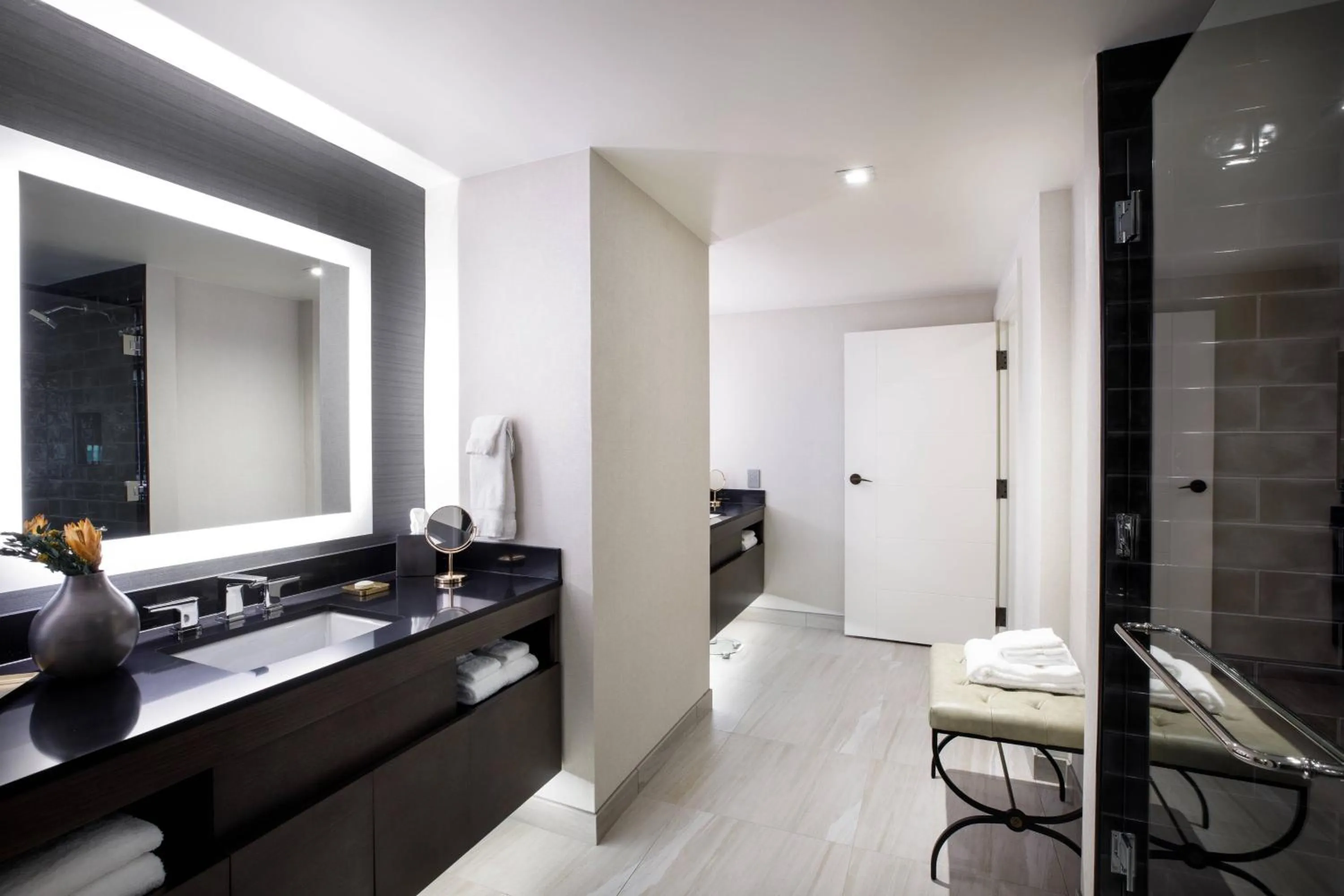 Bathroom in Hotel Vin, Grapevine, Autograph Collection