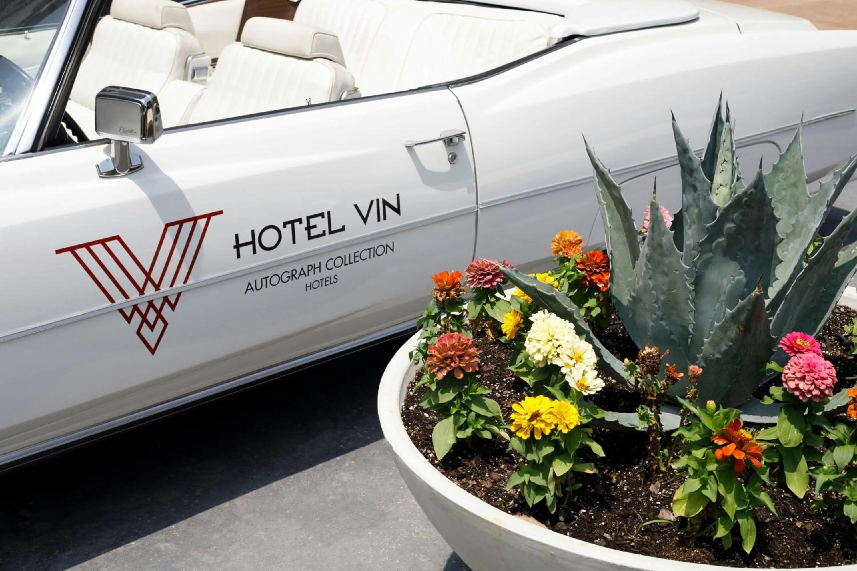 Other in Hotel Vin, Grapevine, Autograph Collection