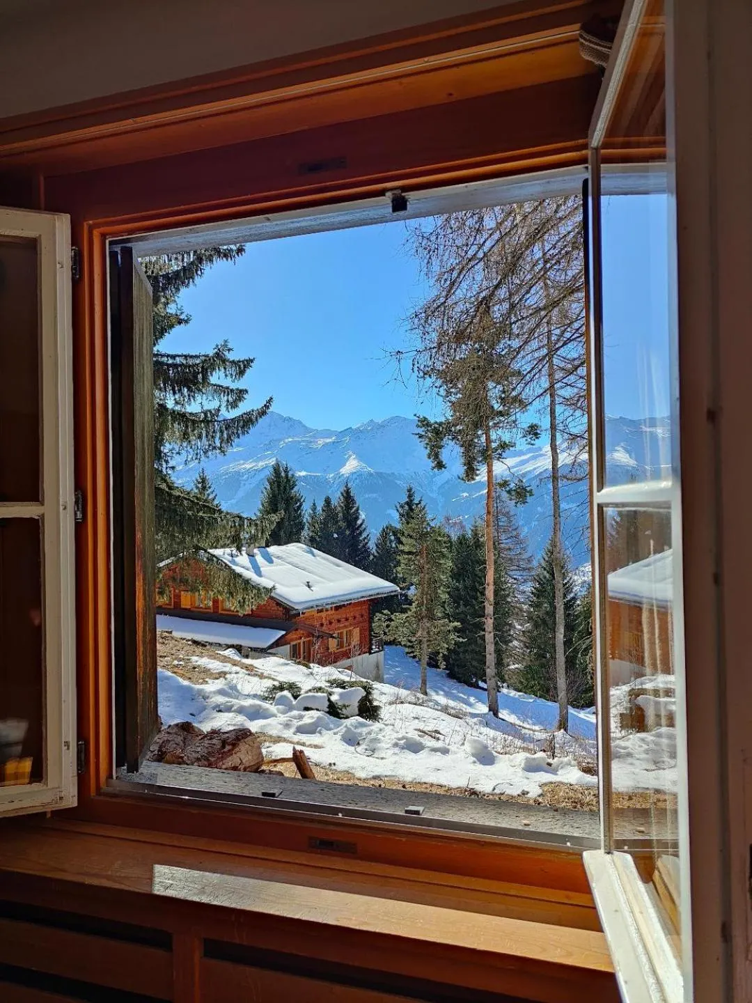 Arche de Noé B&B