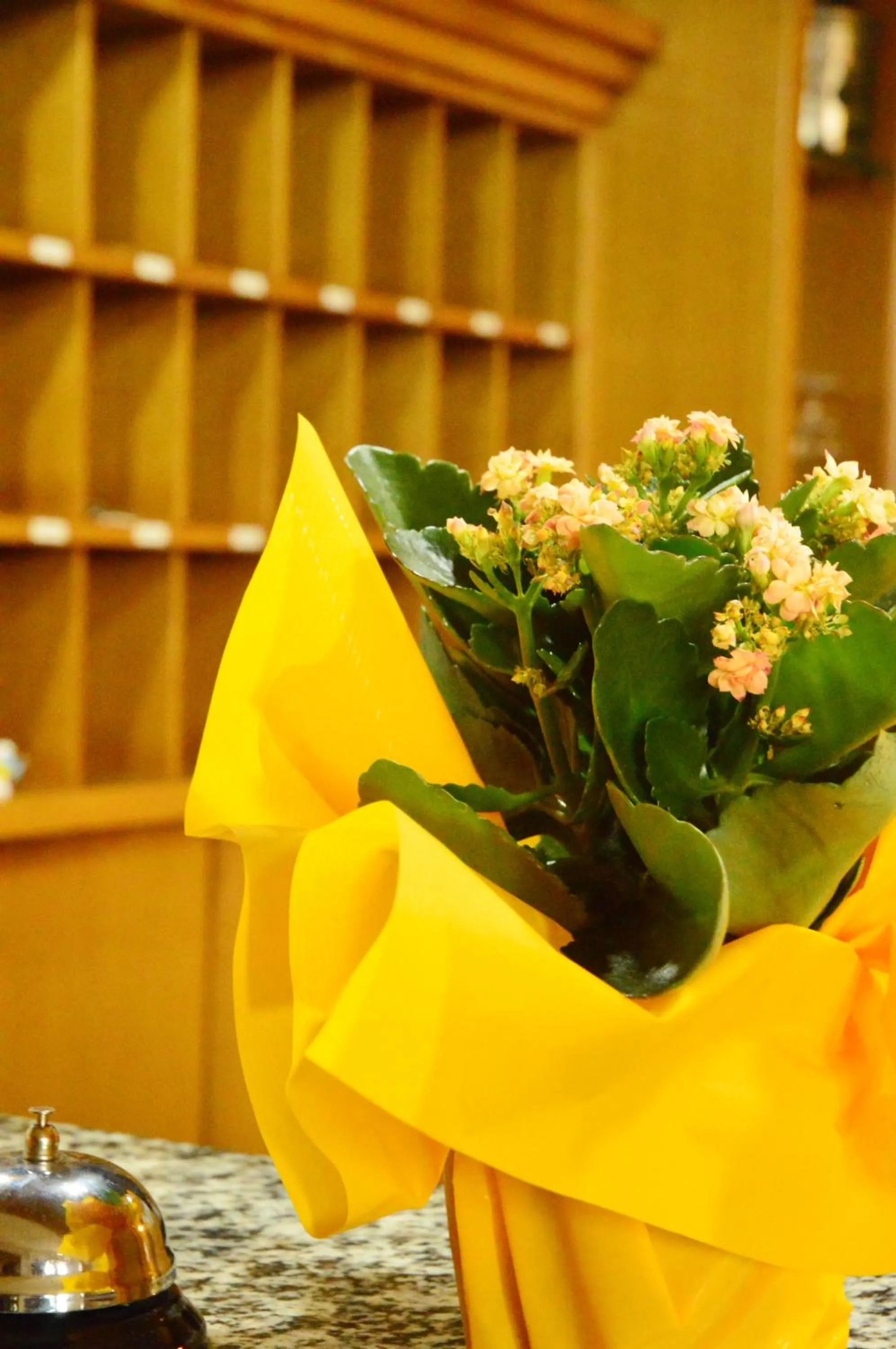 Communal lounge/ TV room in Grem Bike Hostel