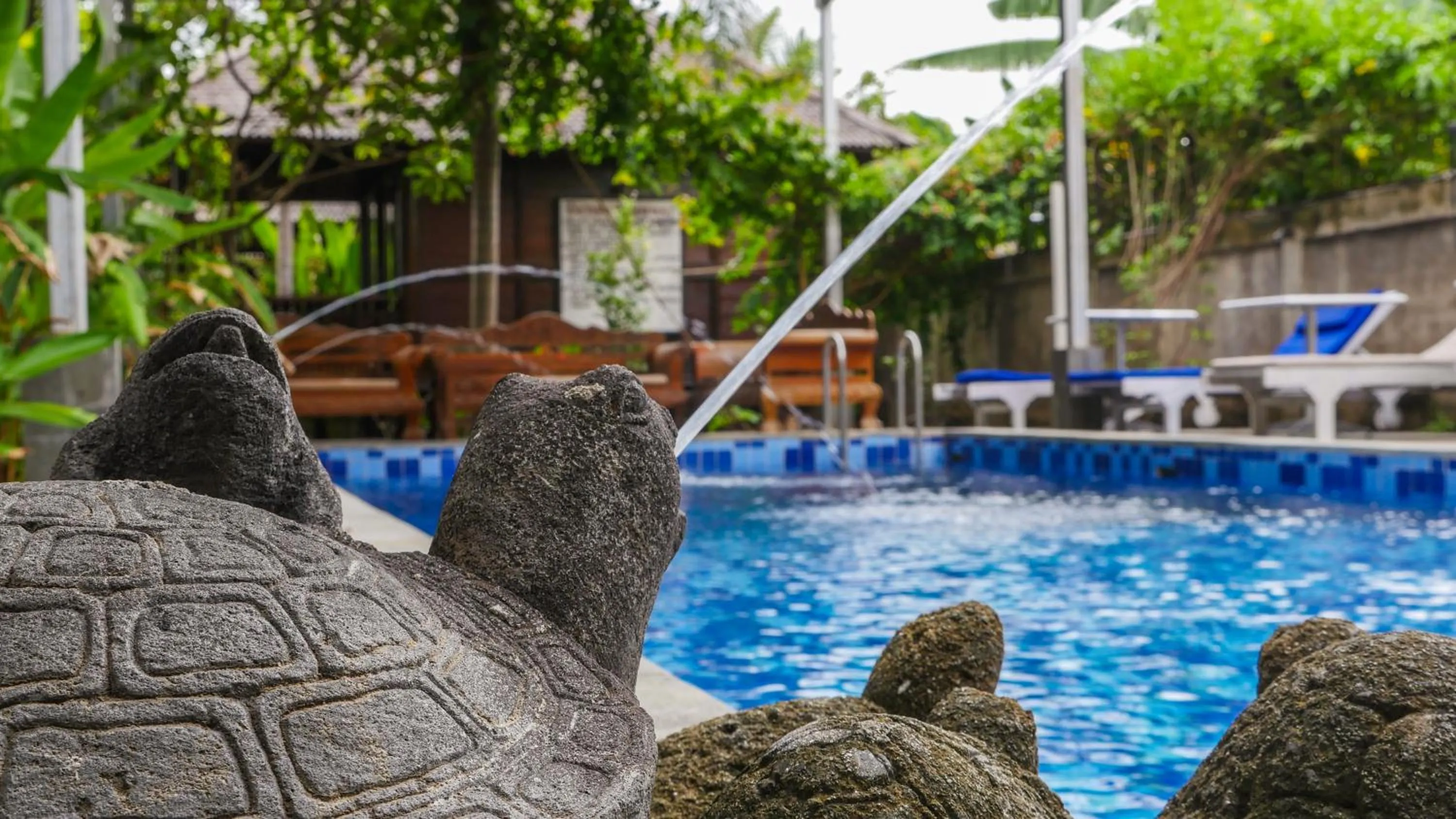 Swimming pool in Turtle Garden Hotel