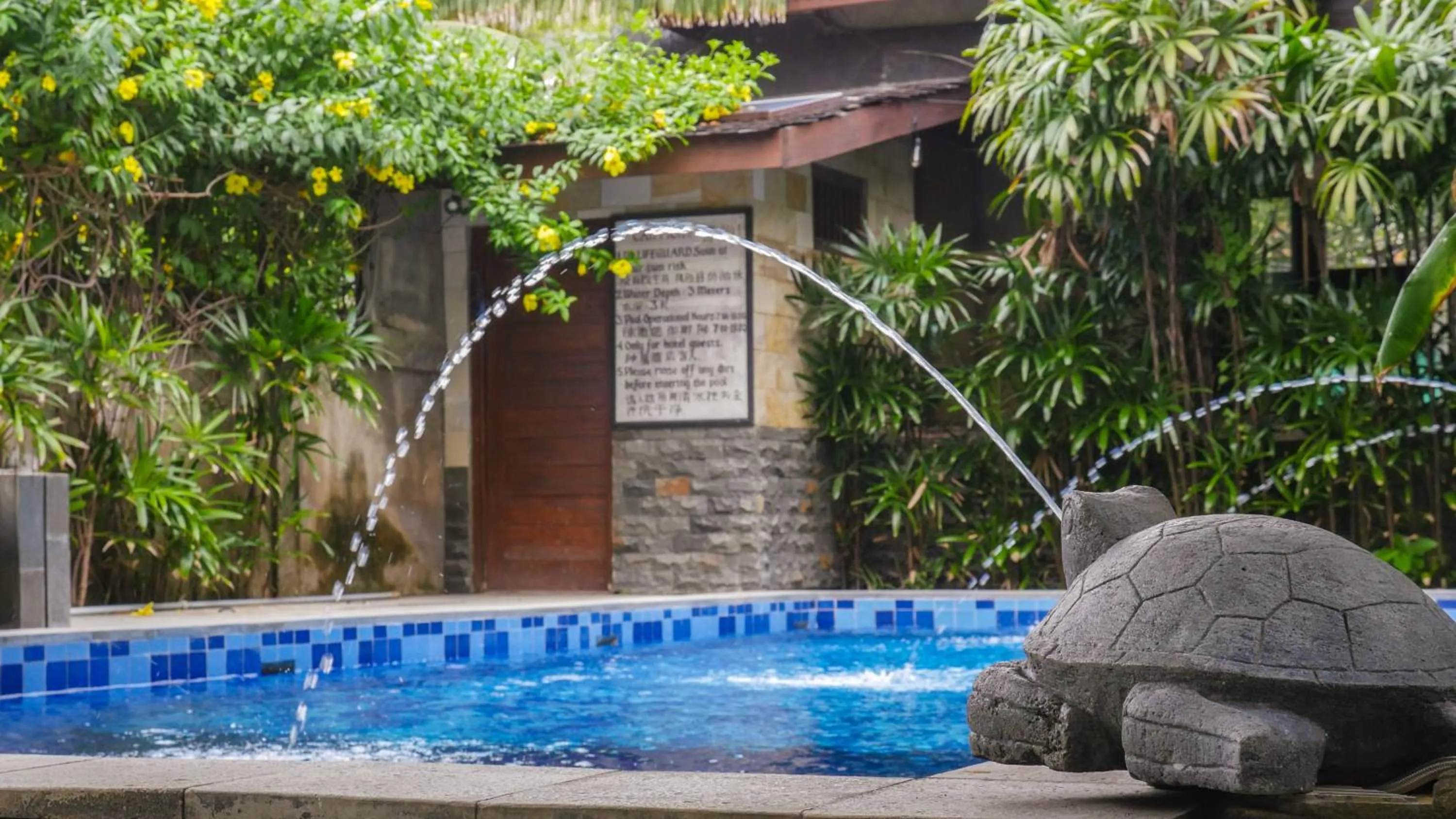 Swimming pool in Turtle Garden Hotel