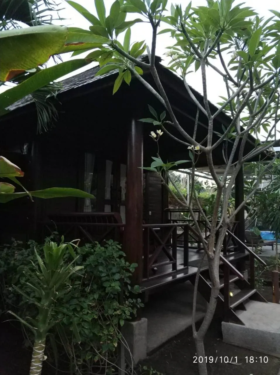 Turtle Garden Hotel