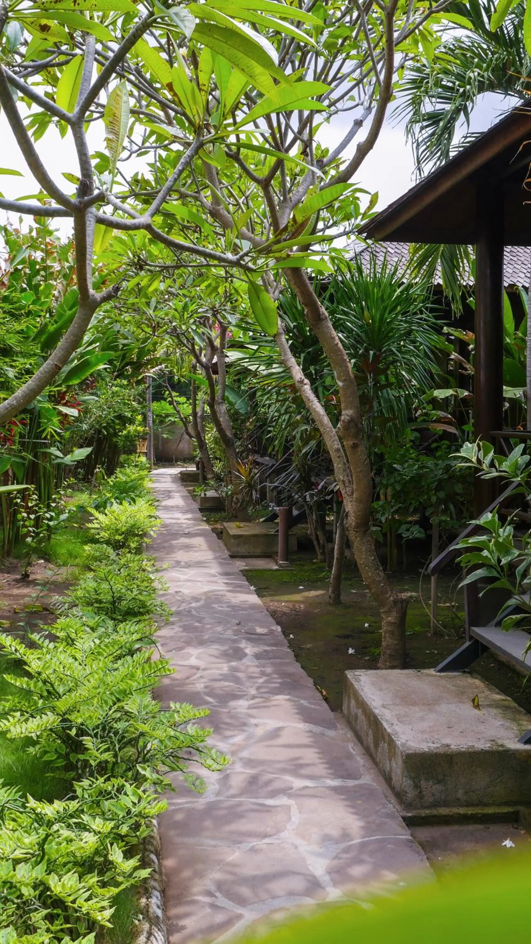 Property building in Turtle Garden Hotel