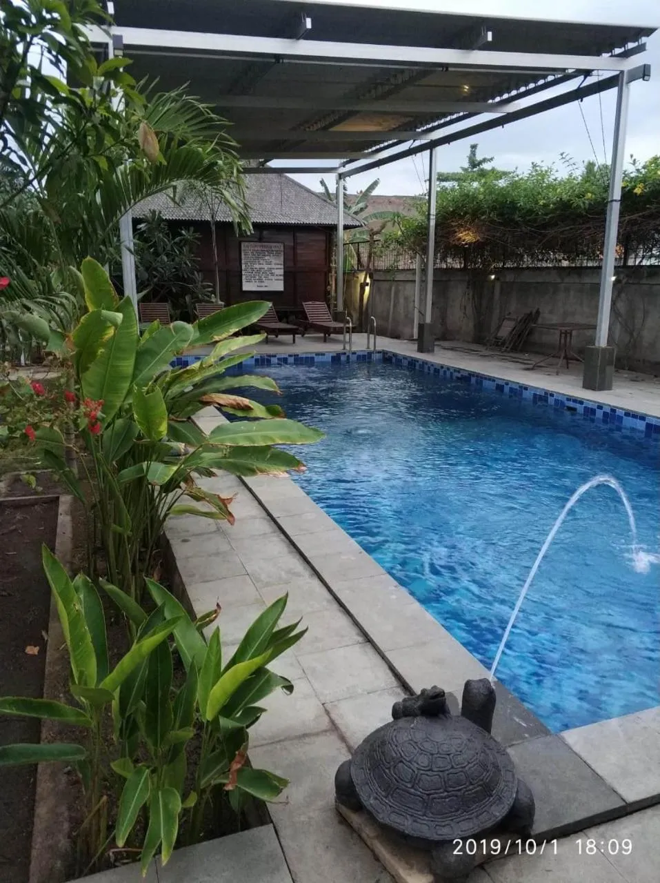 Swimming pool in Turtle Garden Hotel