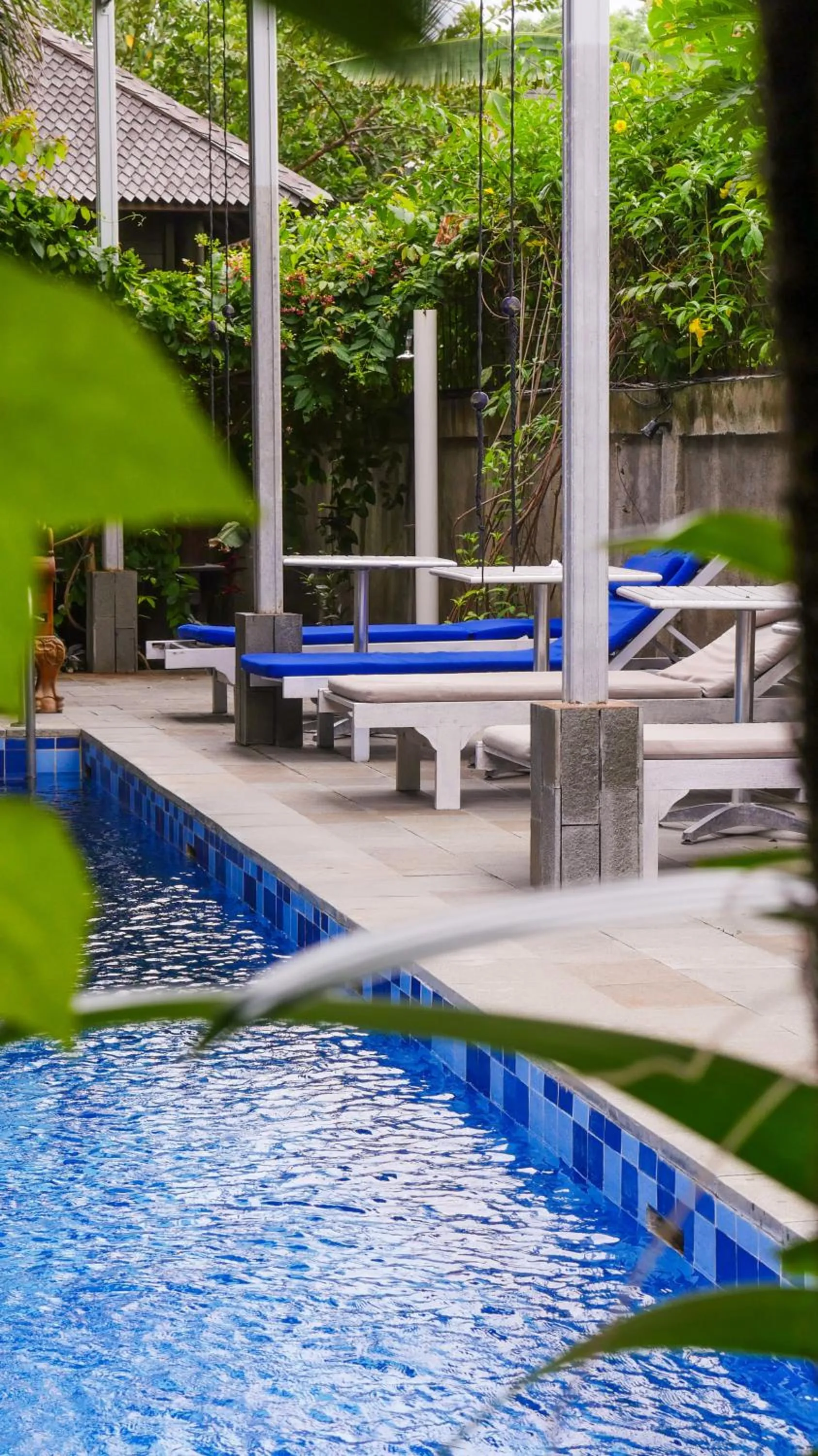 Swimming pool in Turtle Garden Hotel