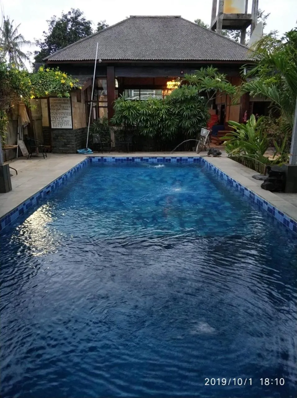Swimming pool in Turtle Garden Hotel