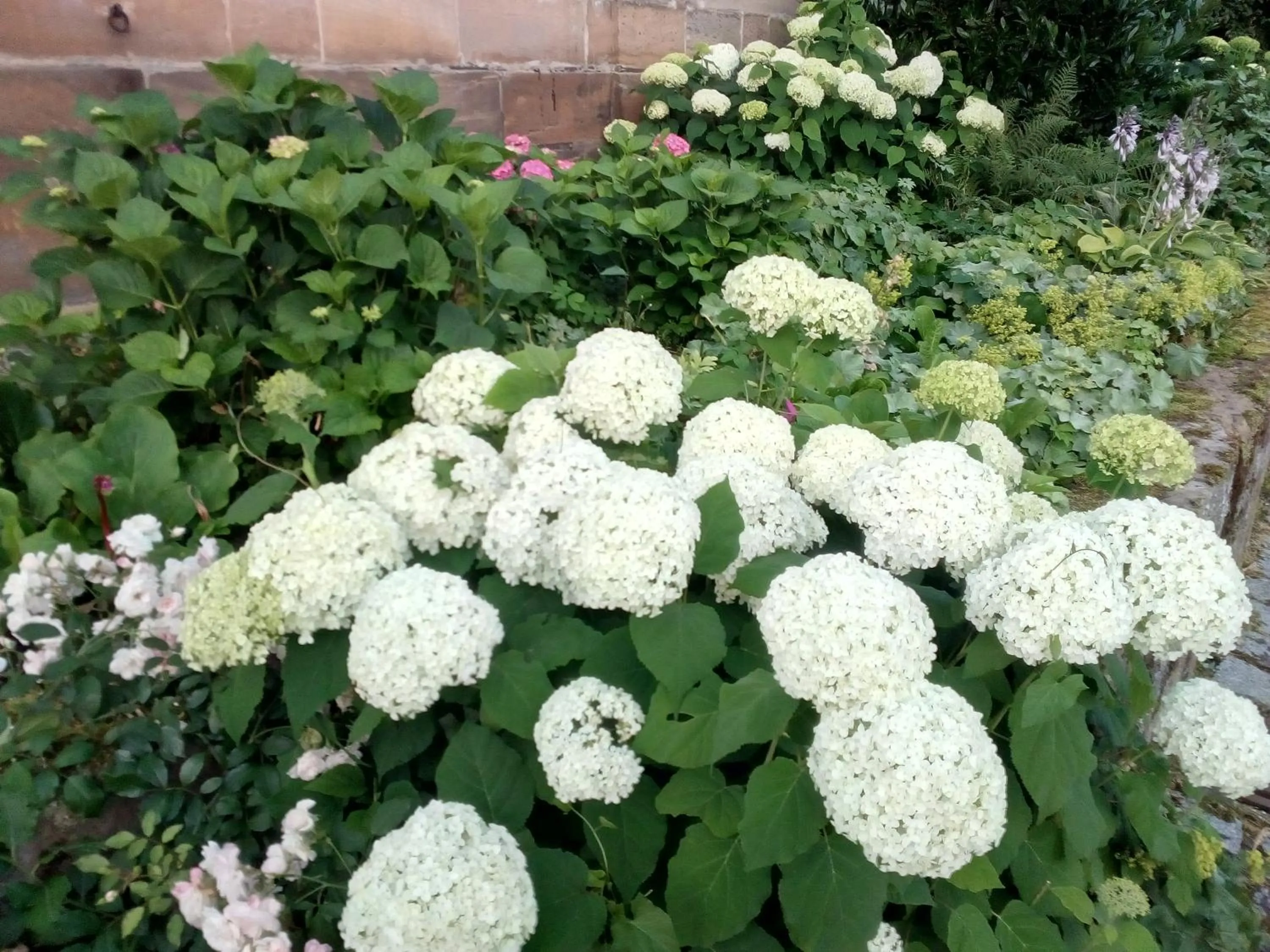 Property building in Hotel-Gasthof Opel Bed & Breakfast