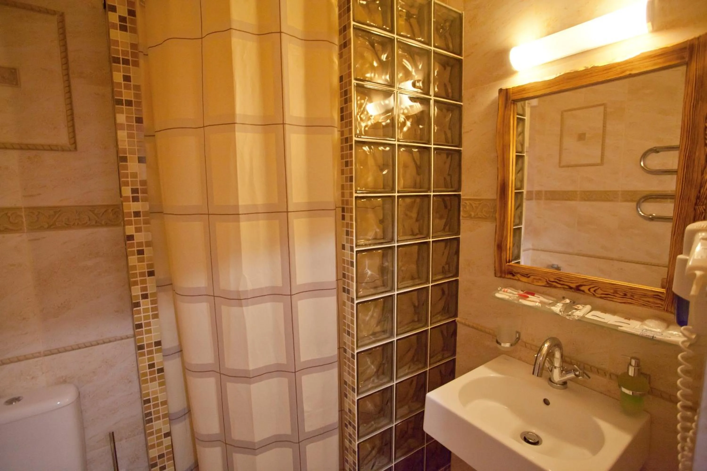 Bathroom in Pidkova