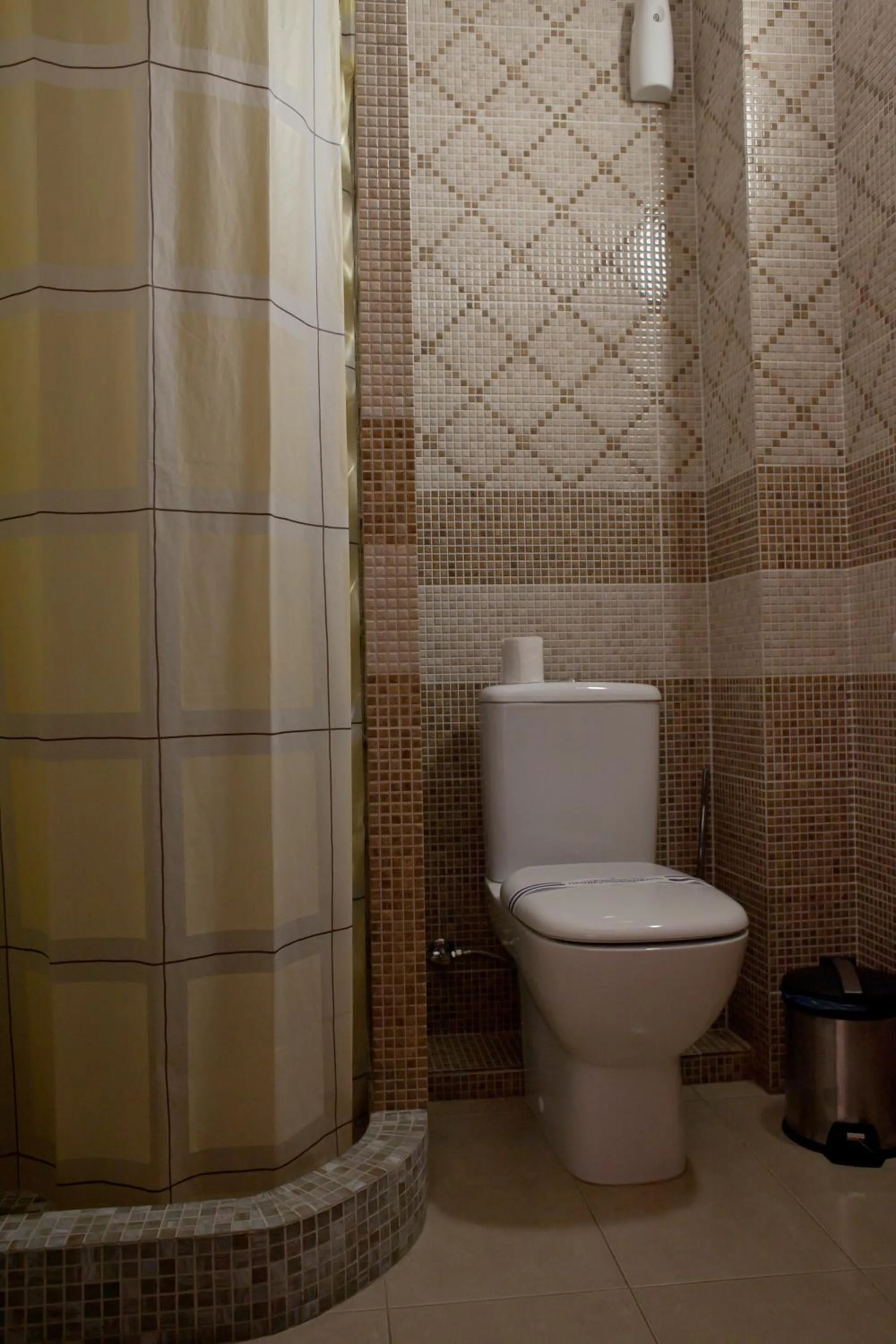 Toilet in Pidkova
