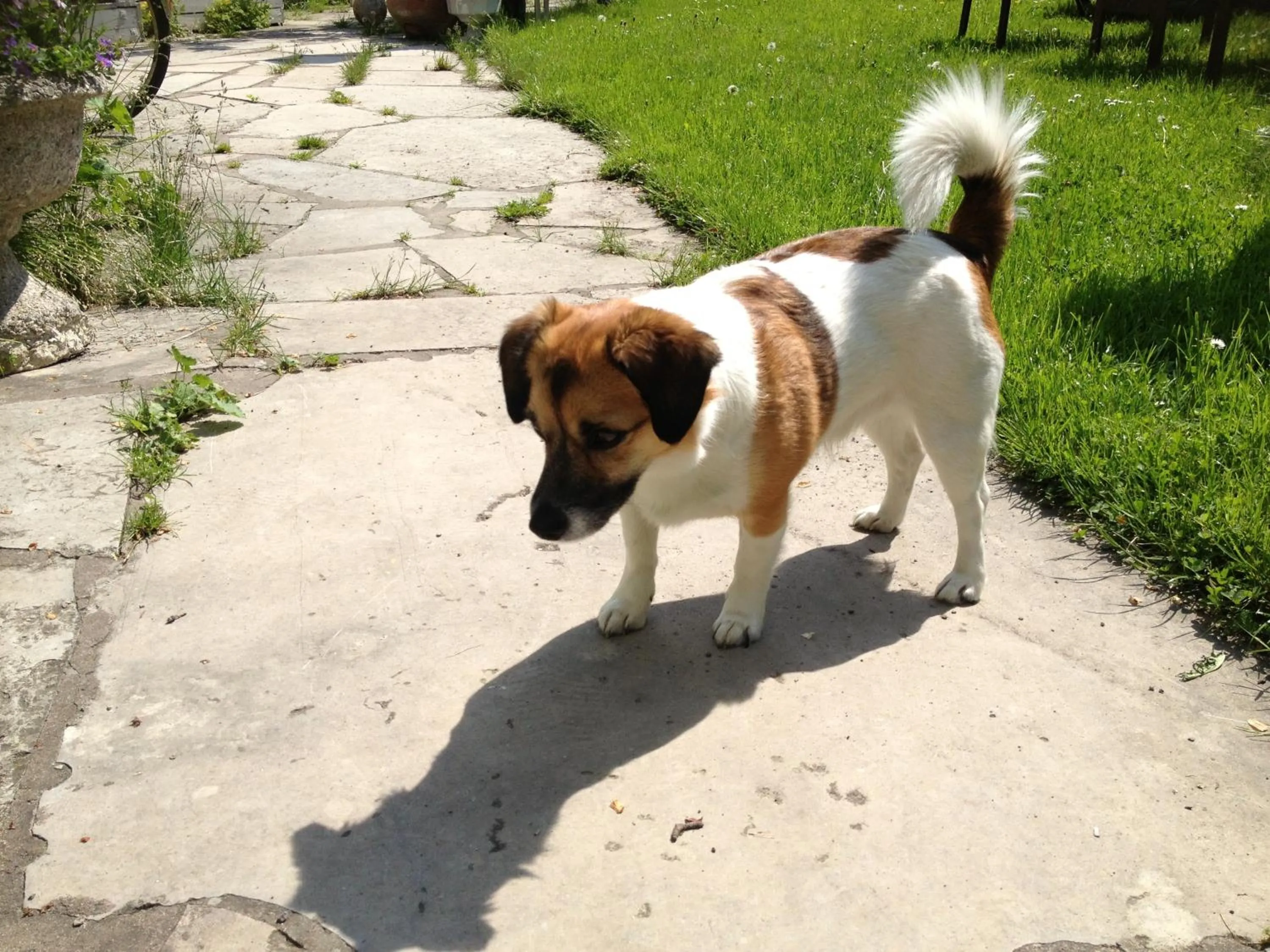 Other in Villa Verdi