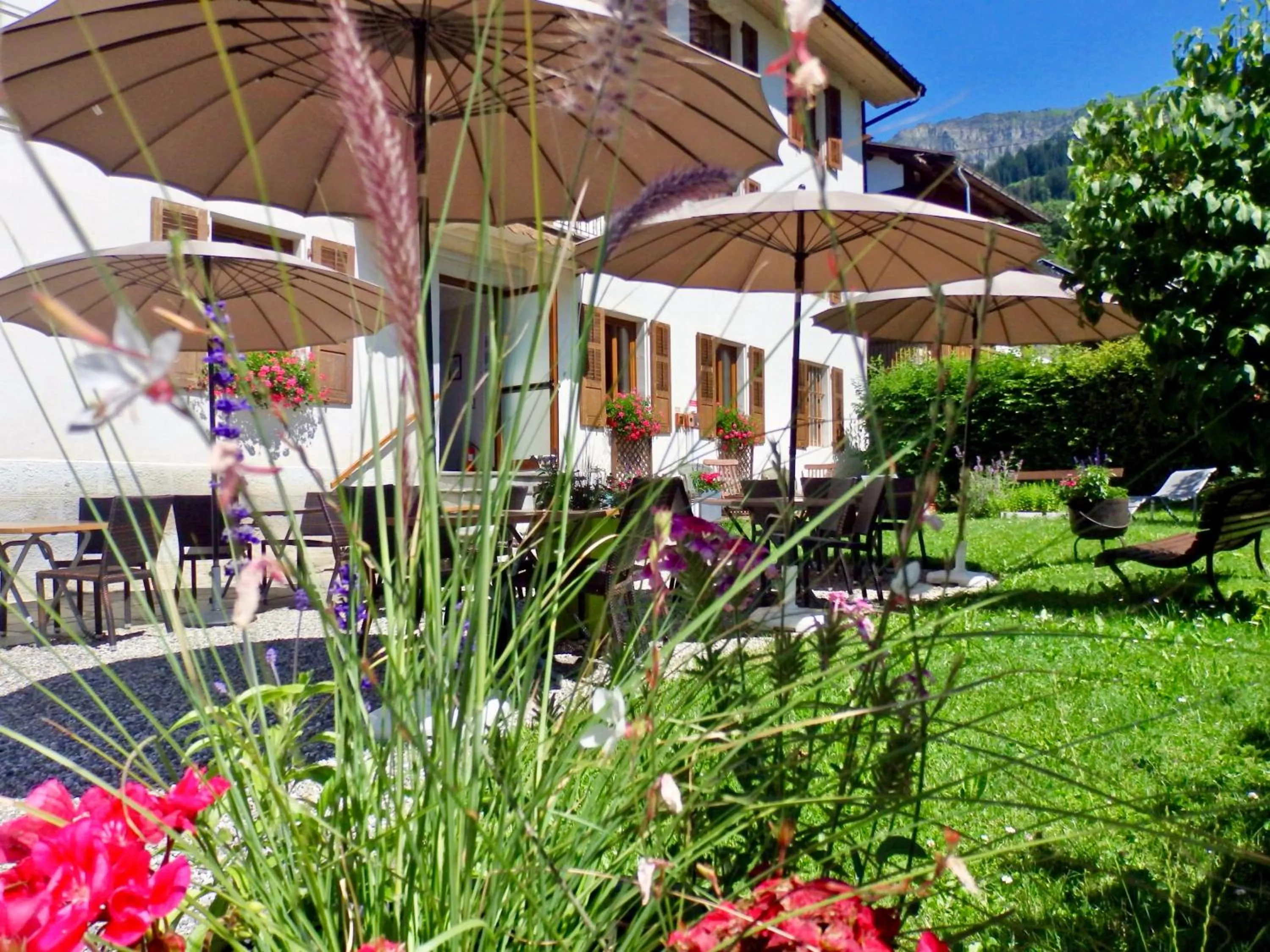Garden in Hôtel Viallet