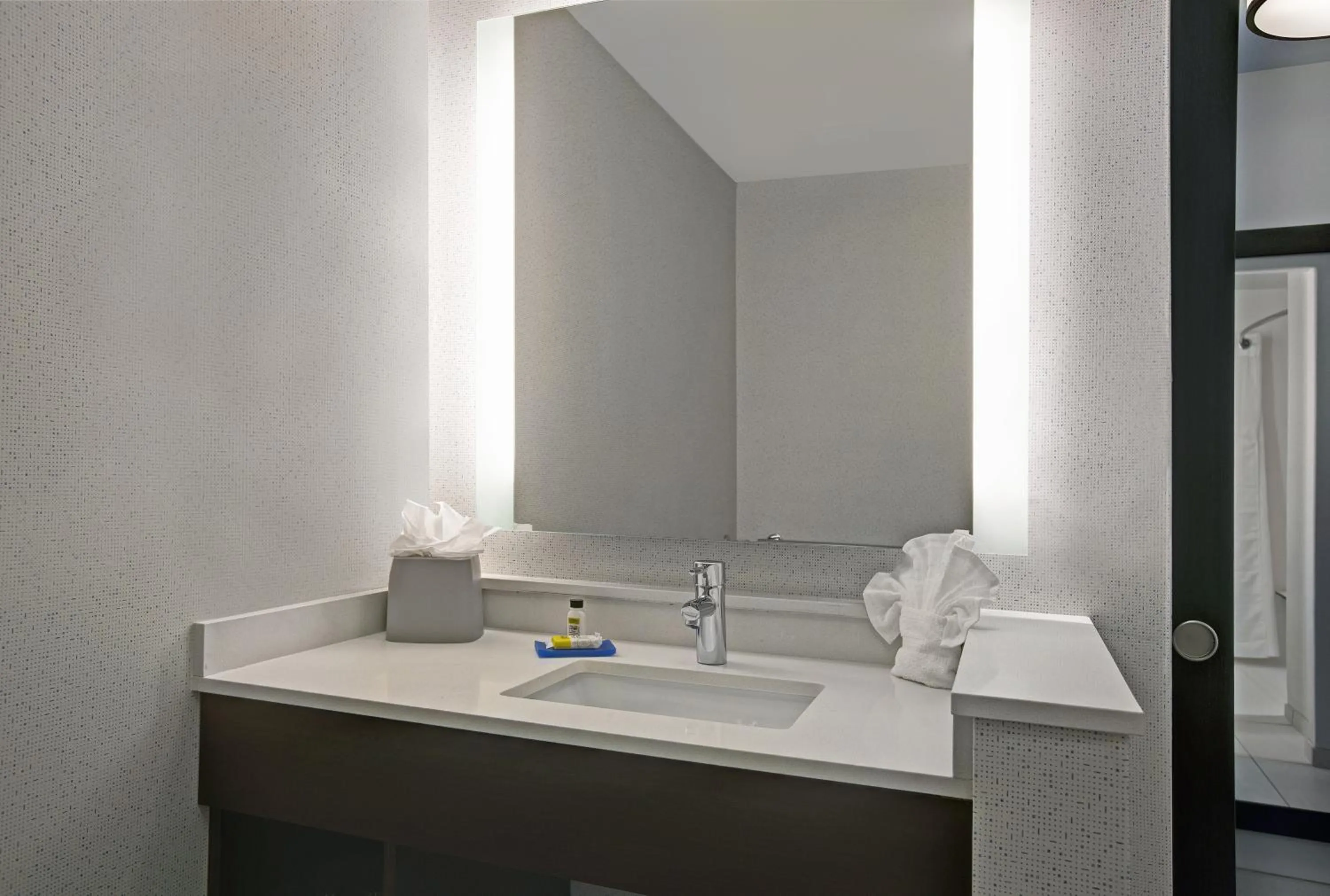 Bathroom in Holiday Inn Express & Suites - Milwaukee - Brookfield by IHG