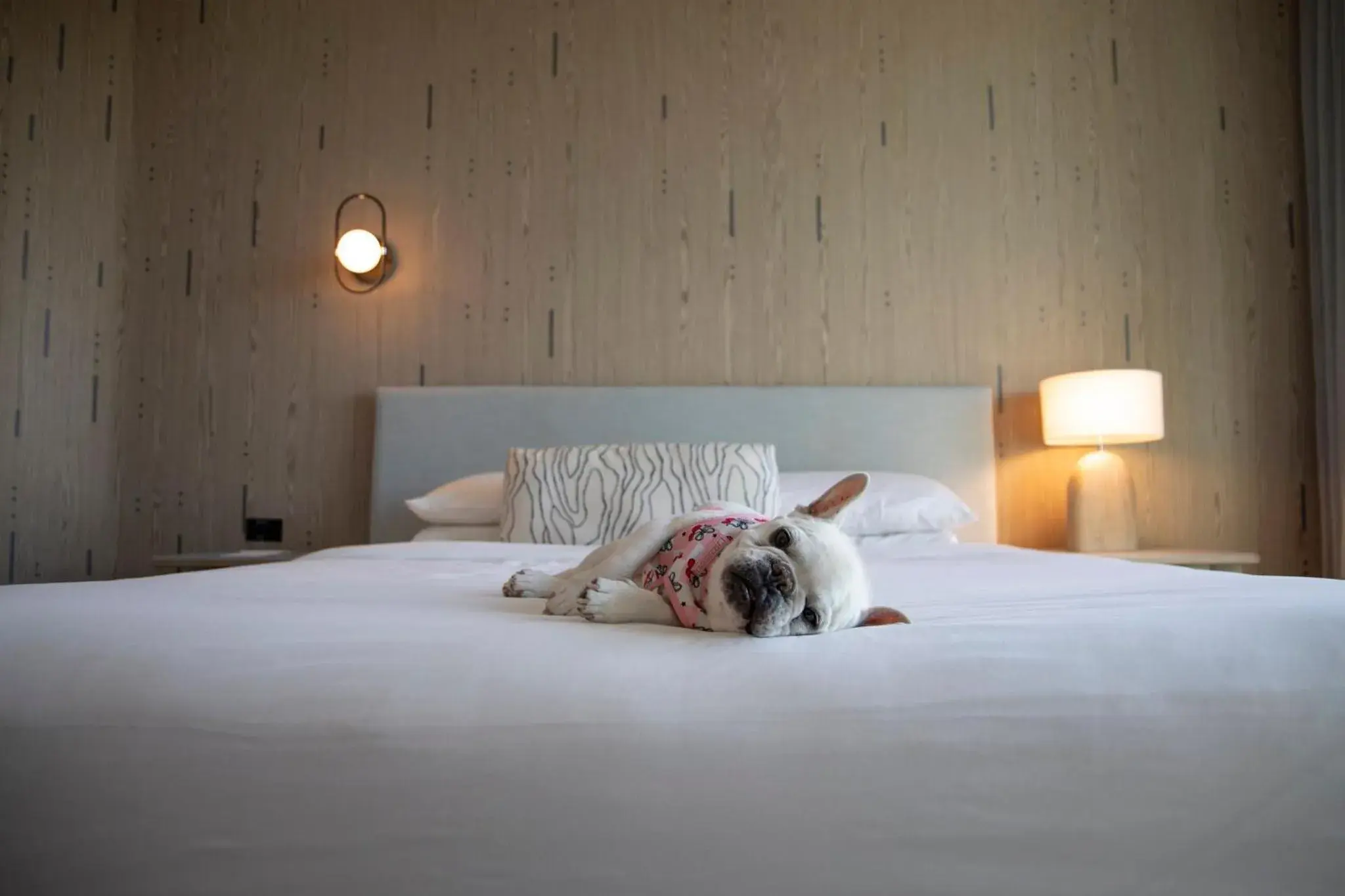 Other, Bed in Kimpton - Hotel Palomar South Beach by IHG Other, Bed in Kimpton - Hotel Palomar South Beach by IHG