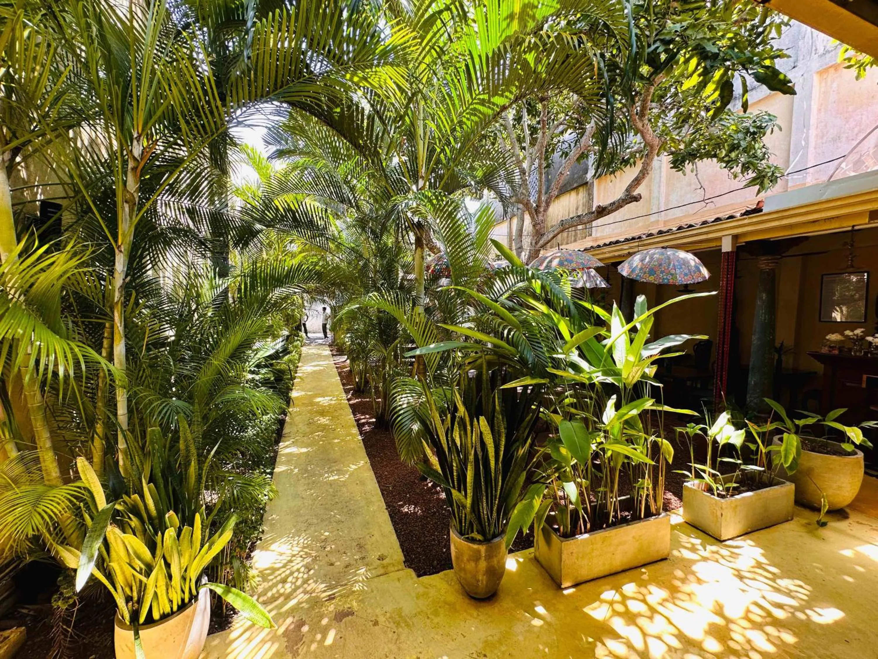 Mango House - Galle Fort