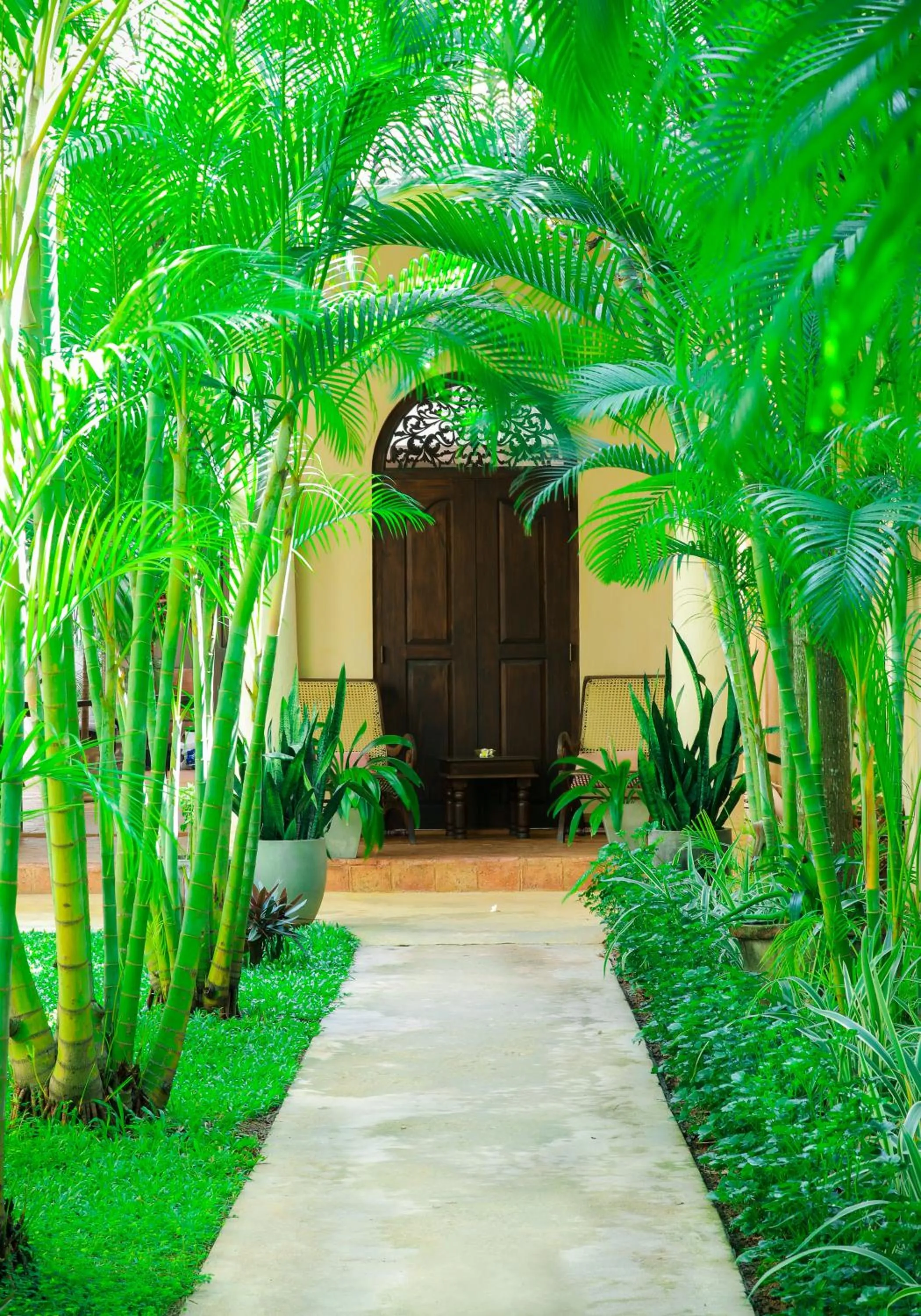 Property building in Mango House - Galle Fort