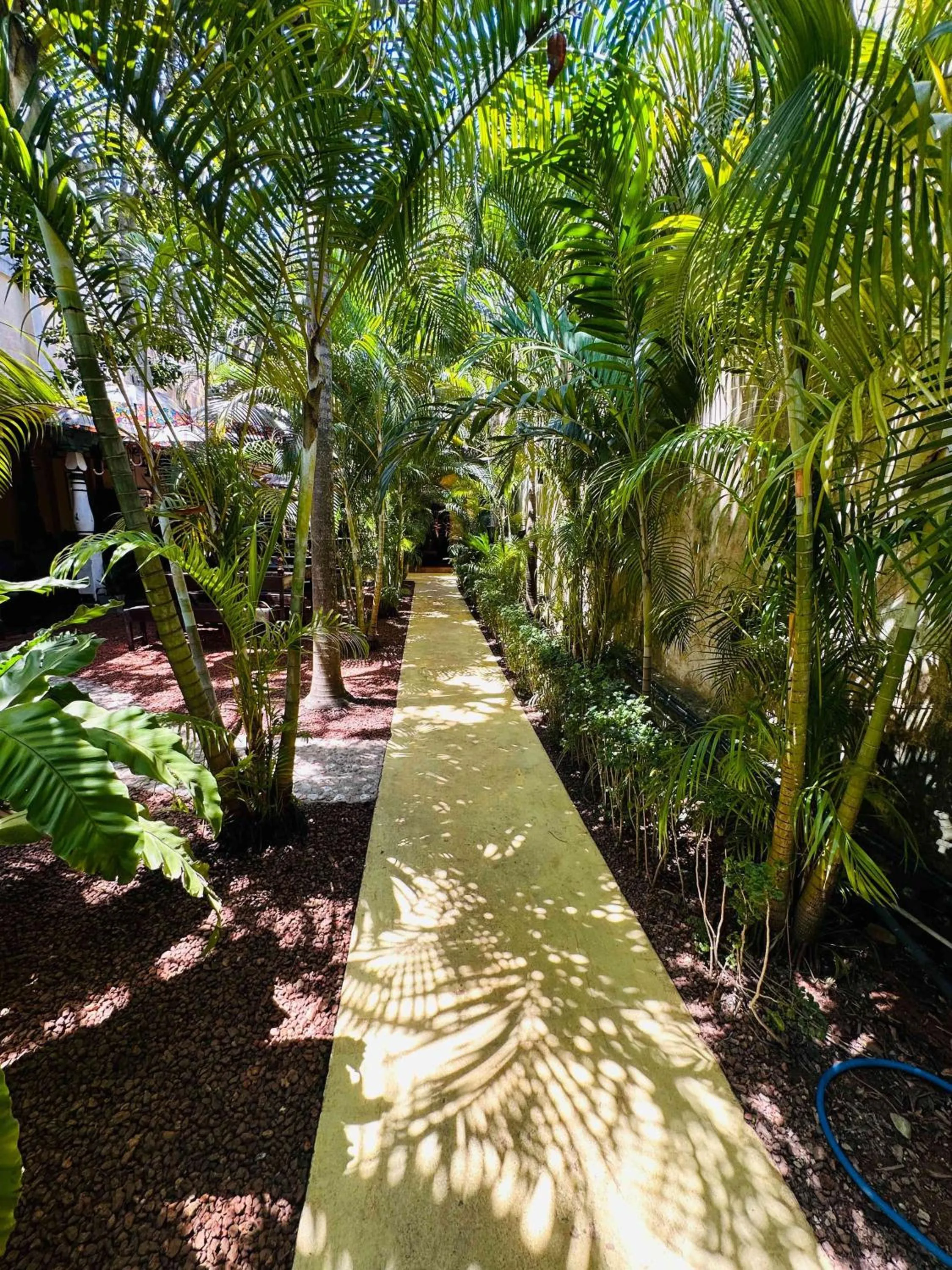 Mango House - Galle Fort