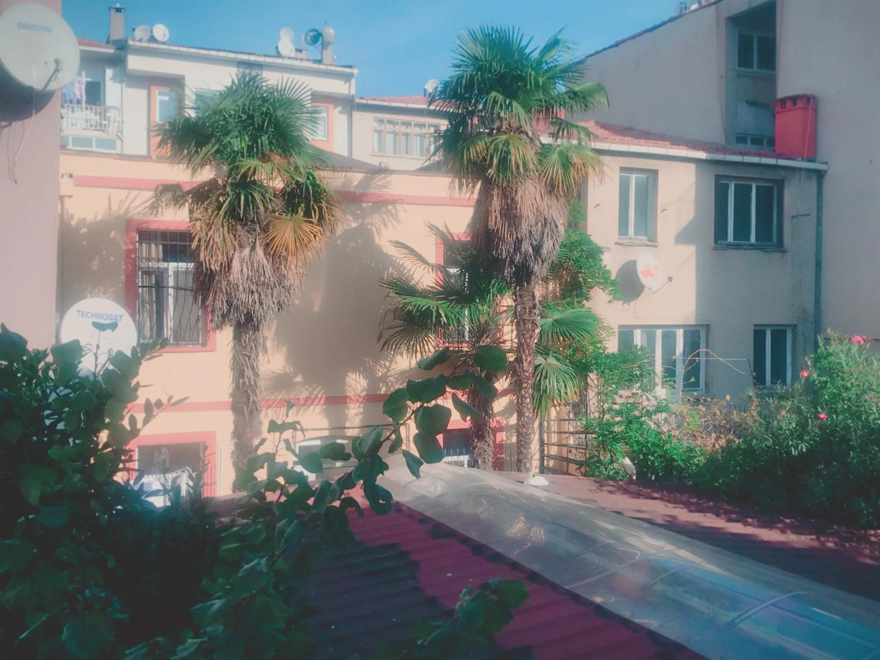 Patio in Kalkedon Hostel