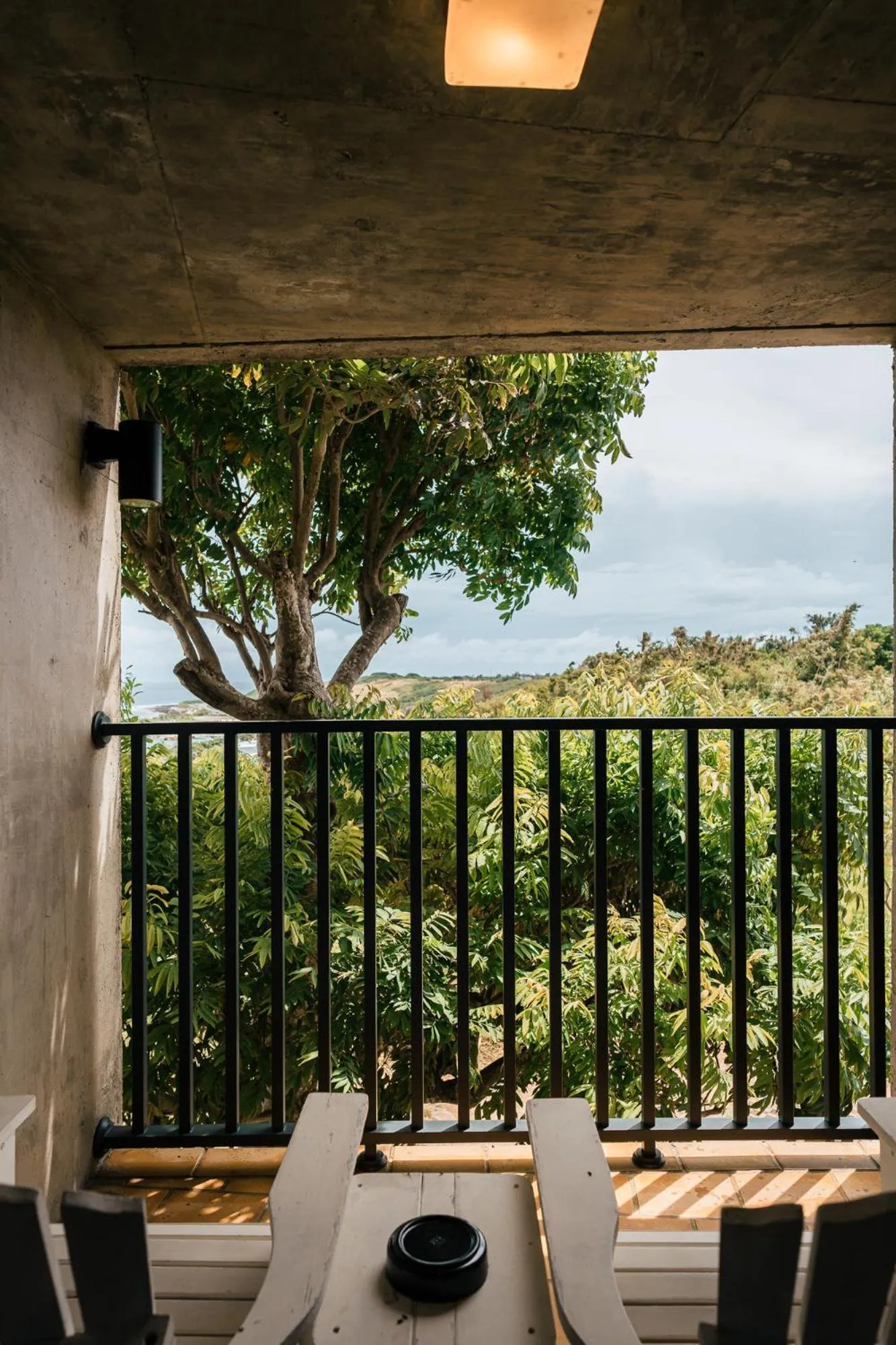 Natural landscape in The Light