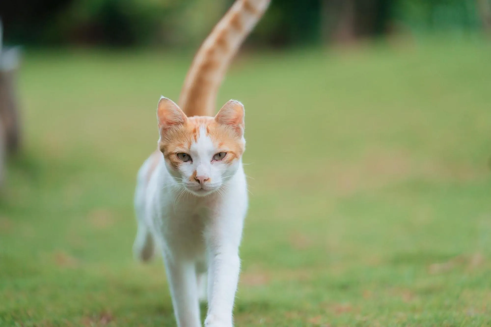Property building in The Light