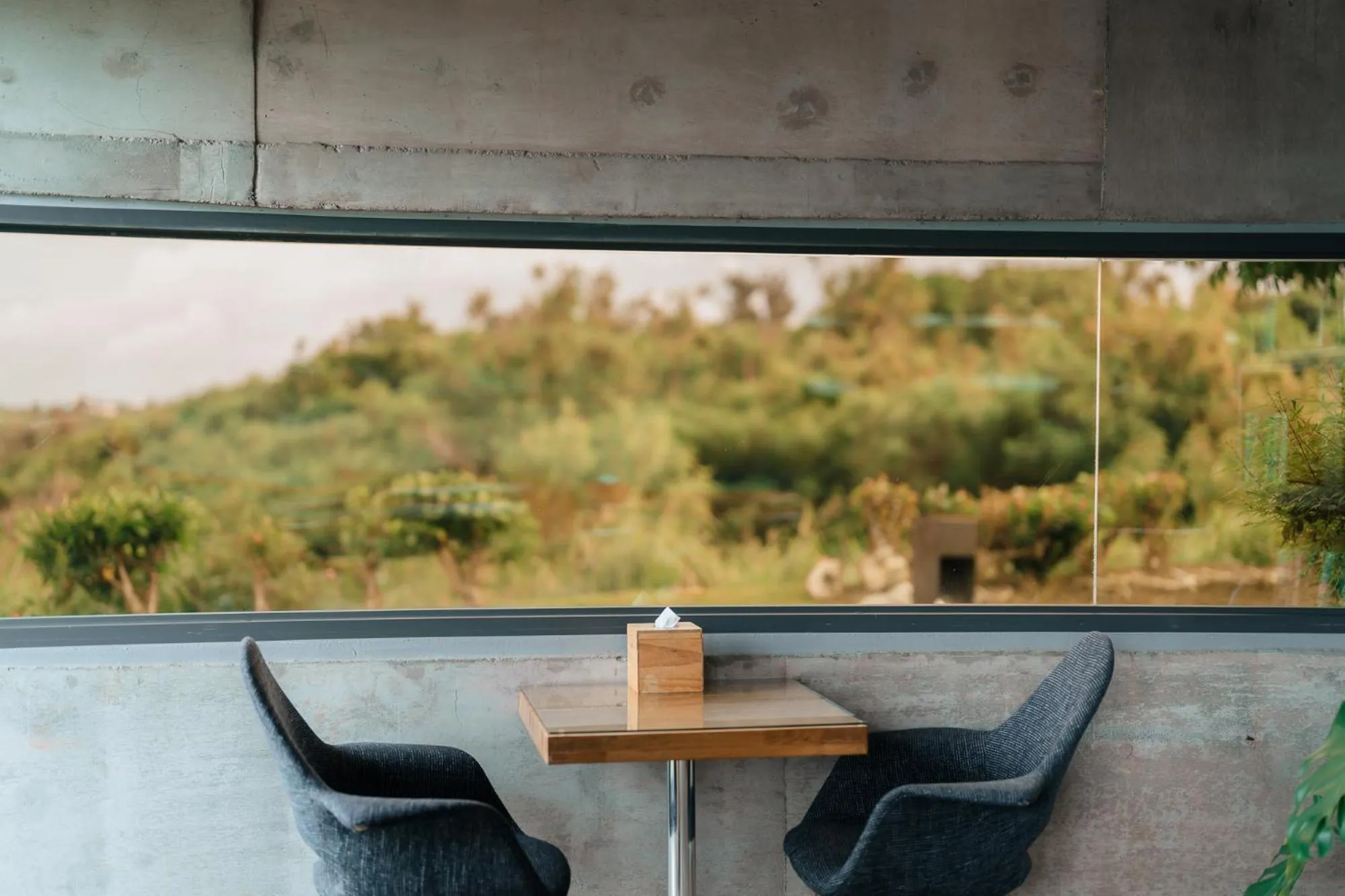 Restaurant/places to eat in The Light