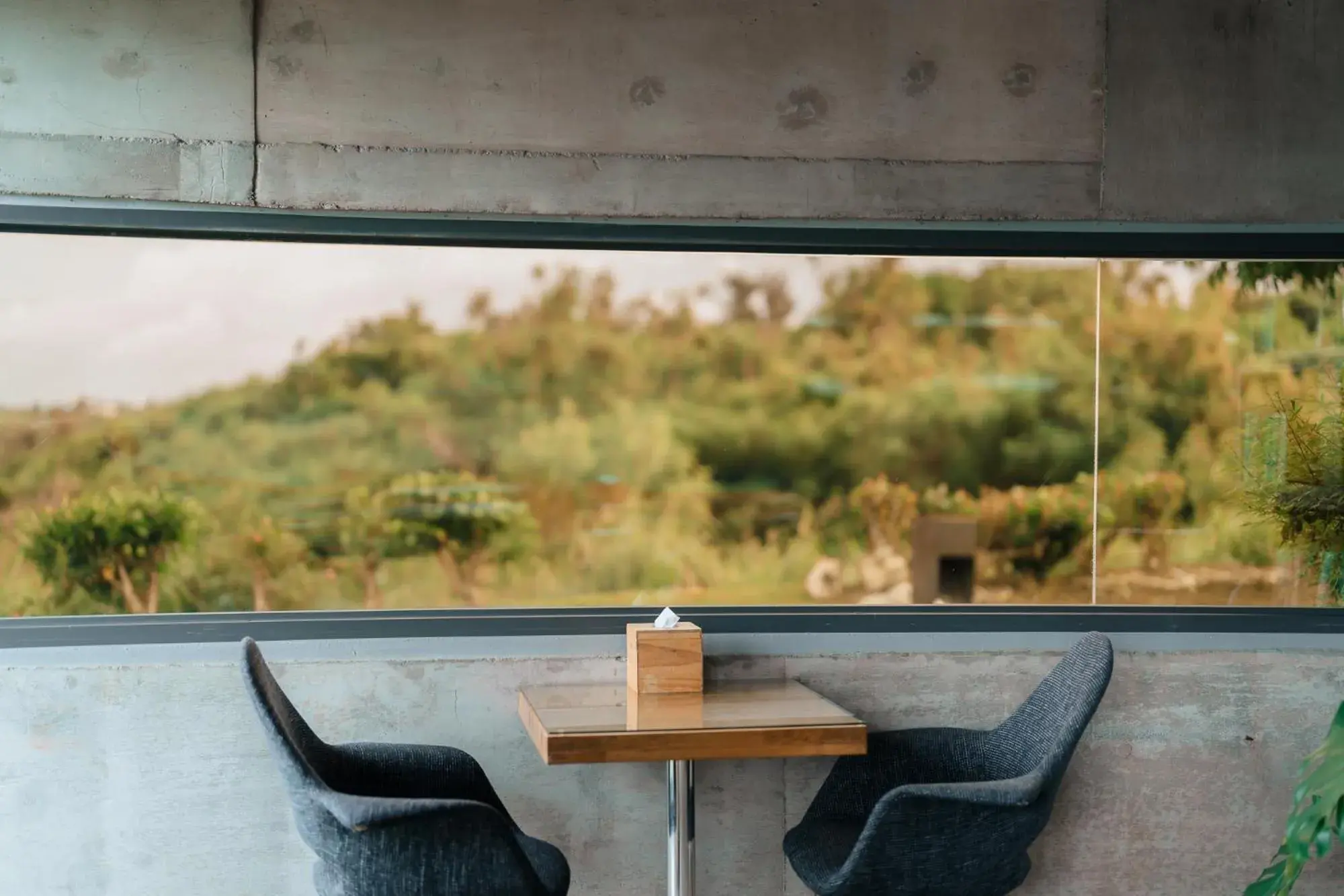 Restaurant/places to eat in The Light Restaurant/places to eat in The Light