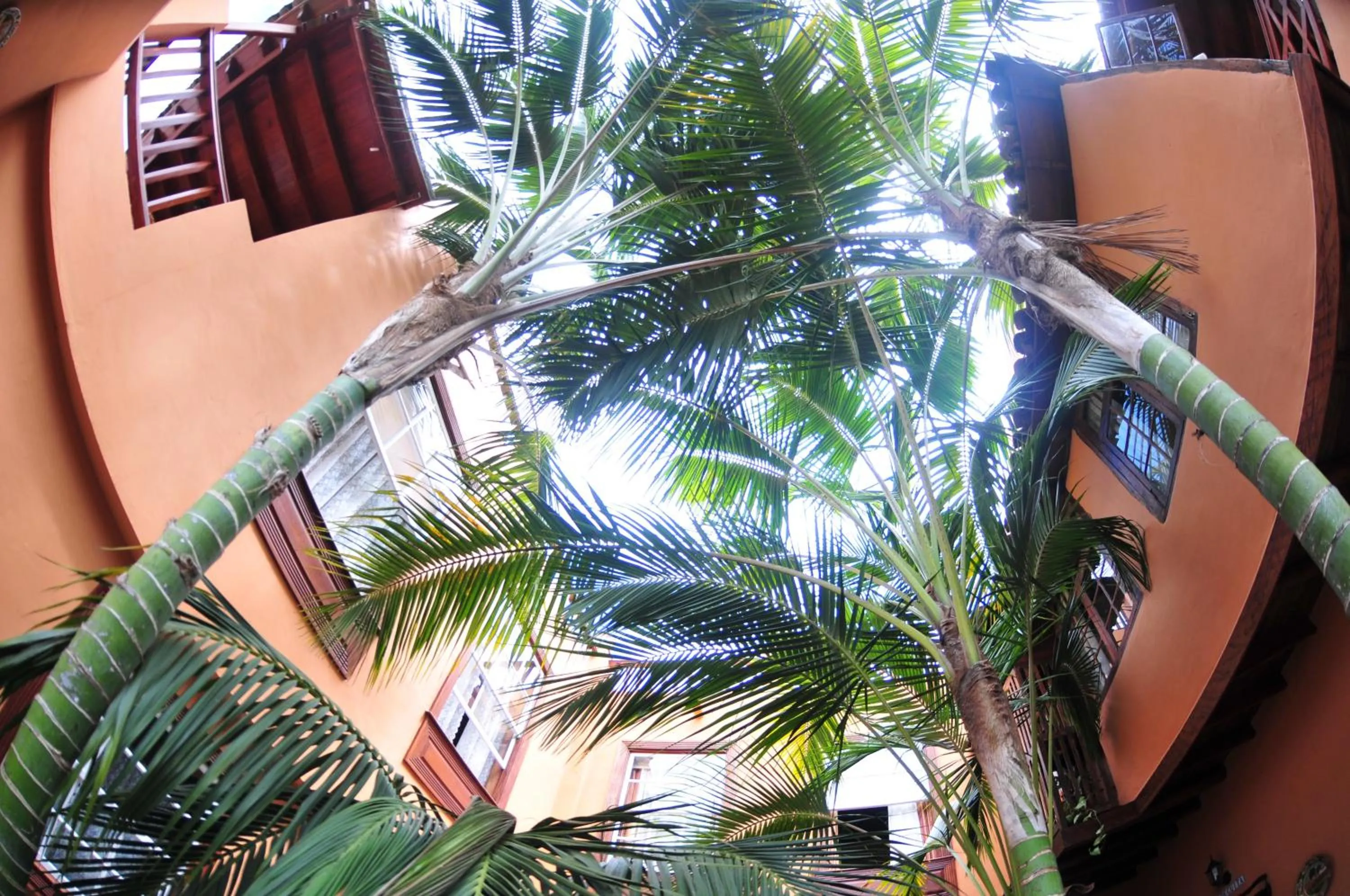 Patio in Hotel Emblemático San Marcos
