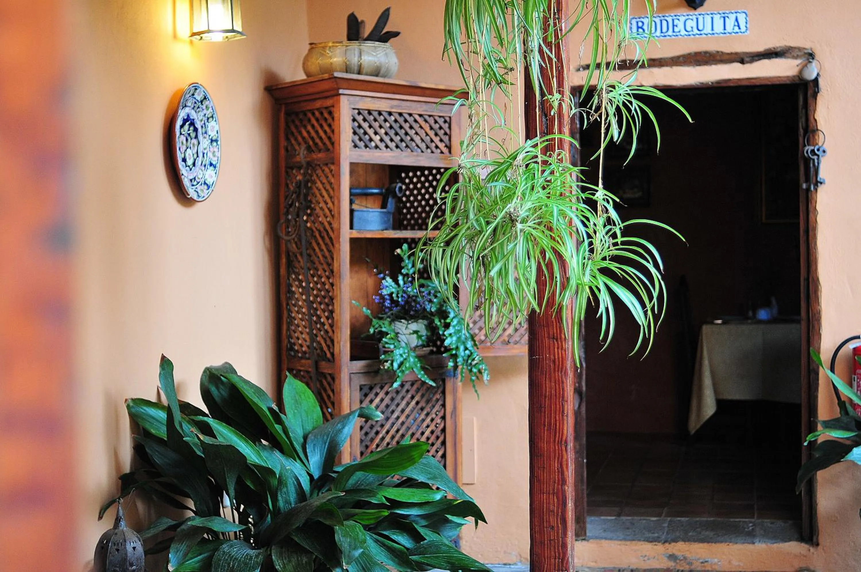 Garden in Hotel Emblemático San Marcos