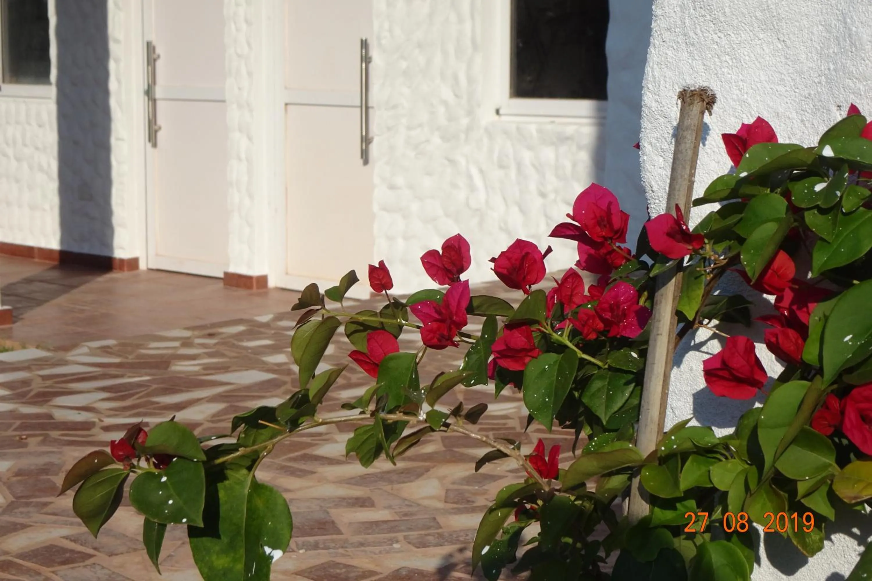 Mediterráneo Suites