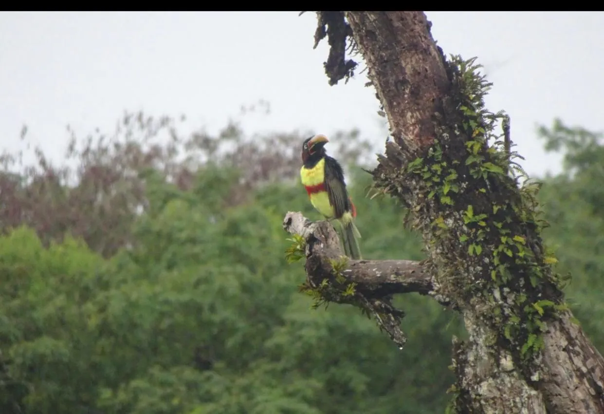 Mediterráneo Suites