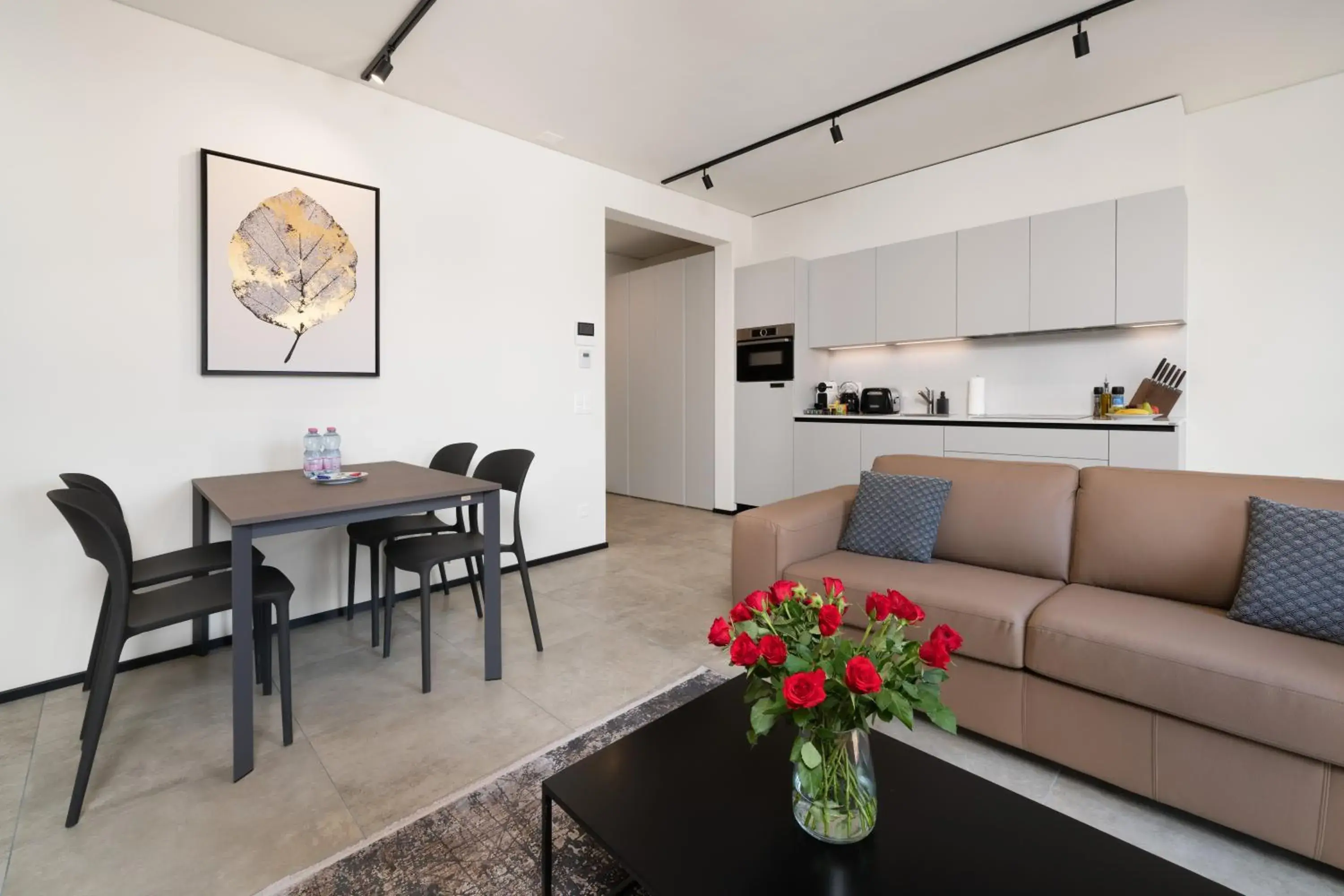One-Bedroom Apartment in Swiss Hotel Apartments - Lugano One-Bedroom Apartment in Swiss Hotel Apartments - Lugano