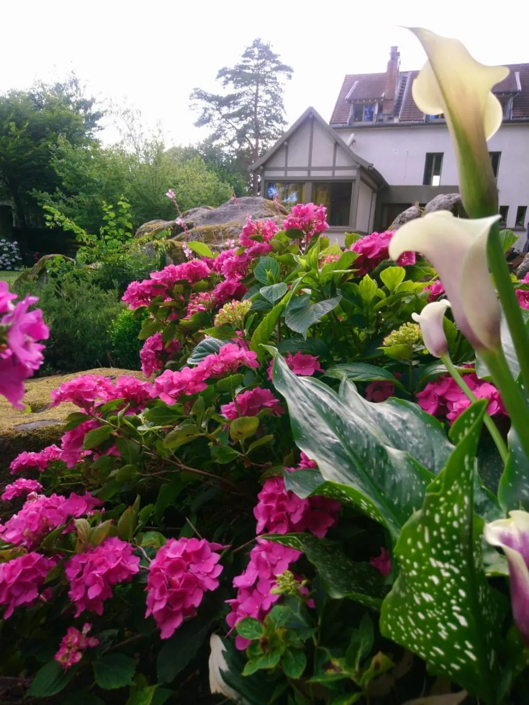 Garden in La Bastide de Barbizon