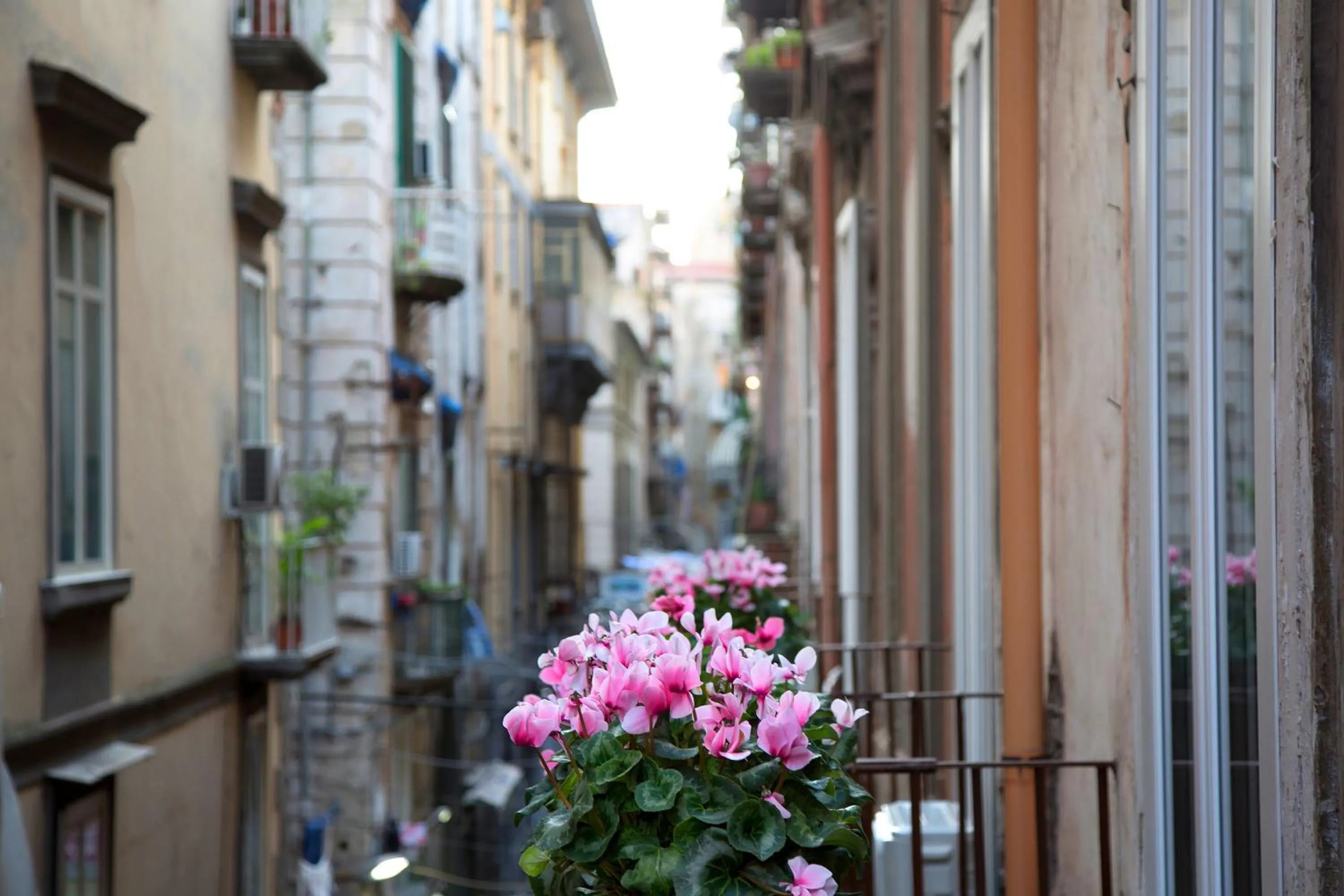 Neighbourhood in B&B Napoli Time