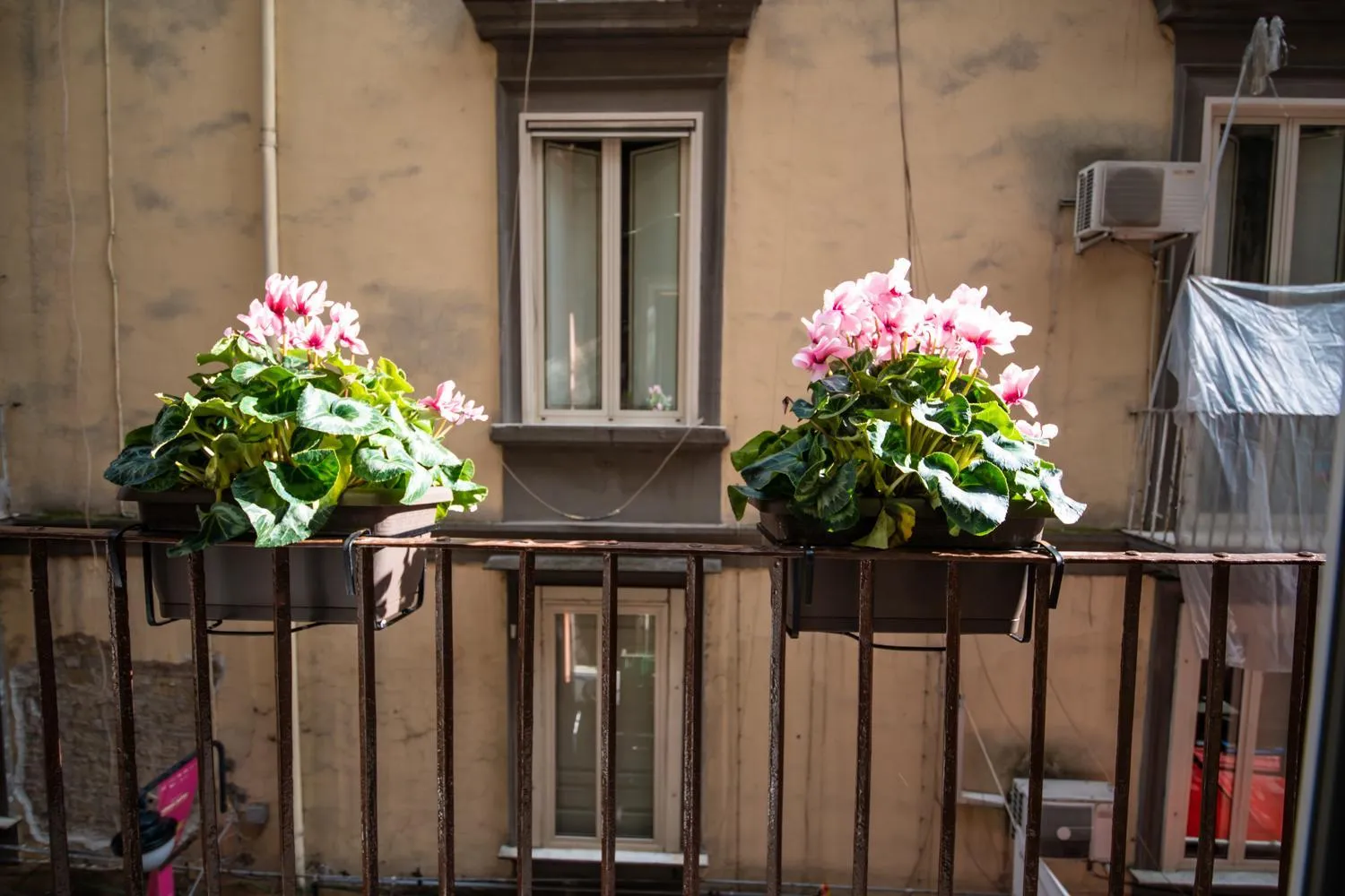 Balcony/Terrace in B&B Napoli Time